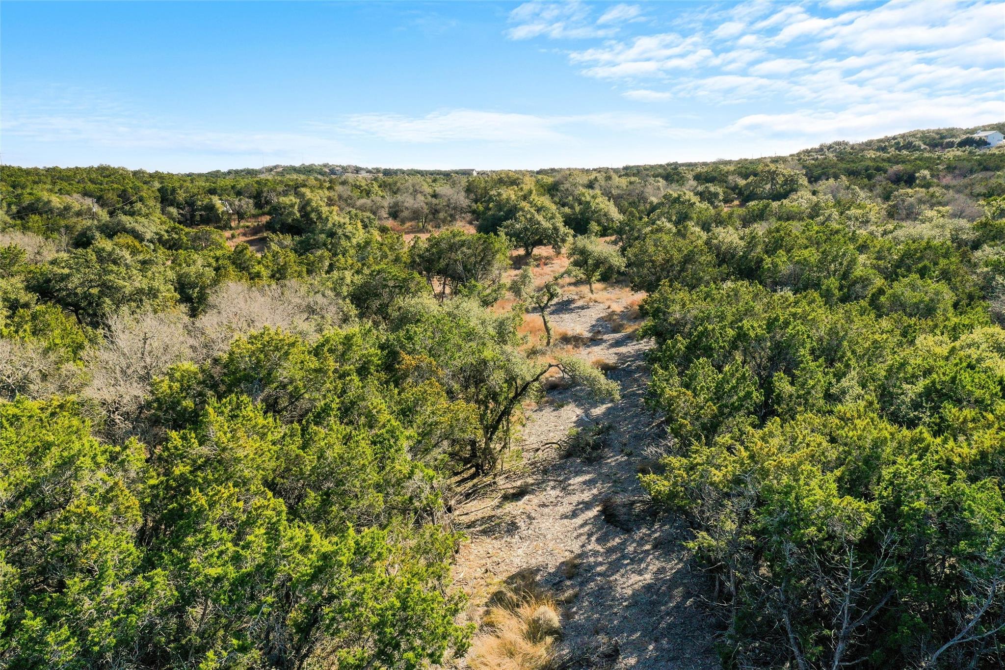 10107 Davy Crockett Dr, Dripping Springs, TX 78620