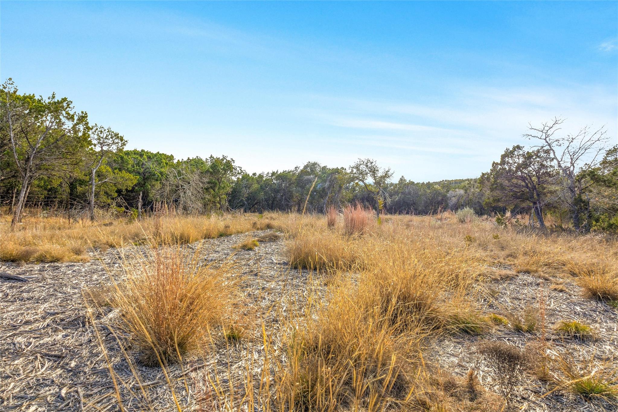 10107 Davy Crockett Dr, Dripping Springs, TX 78620
