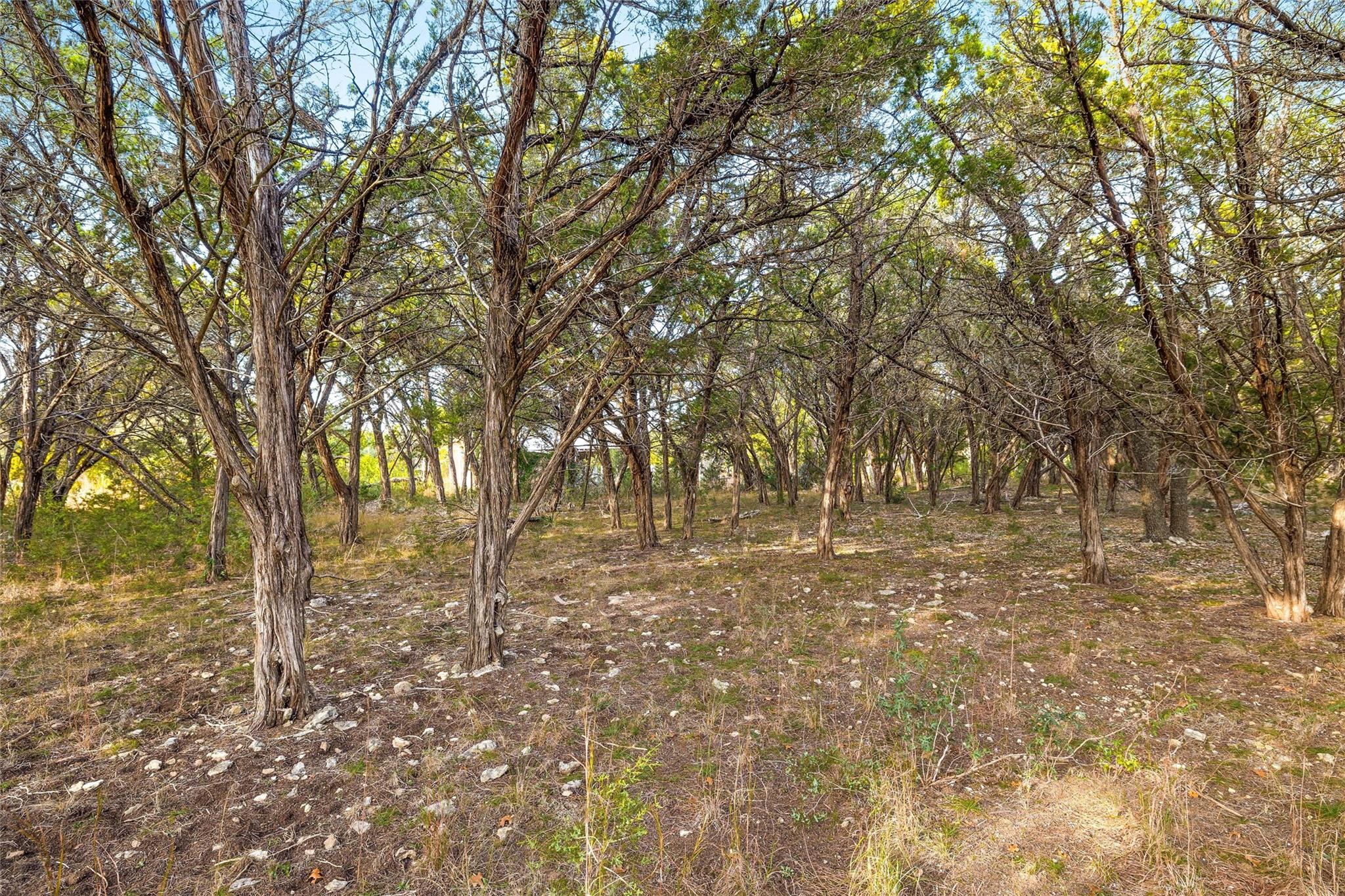 10107 Davy Crockett Dr, Dripping Springs, TX 78620