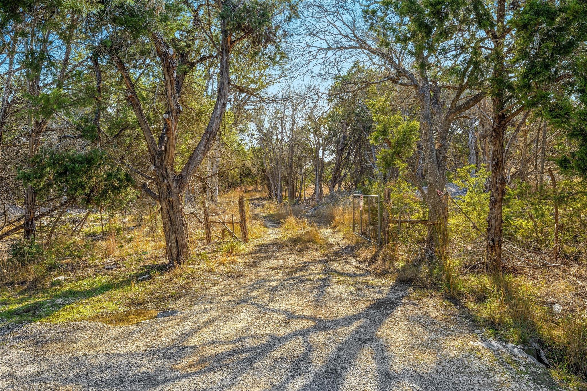 10107 Davy Crockett Dr, Dripping Springs, TX 78620