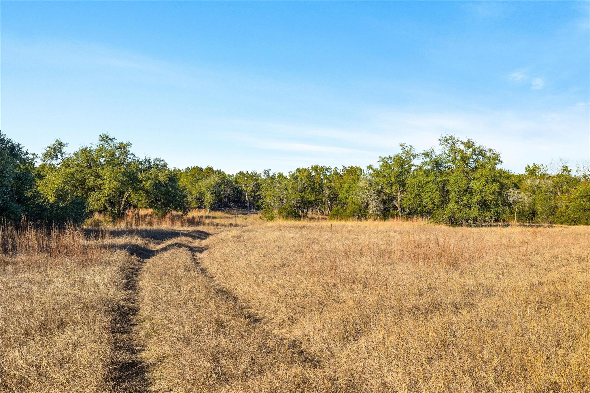 10107 Davy Crockett Dr, Dripping Springs, TX 78620