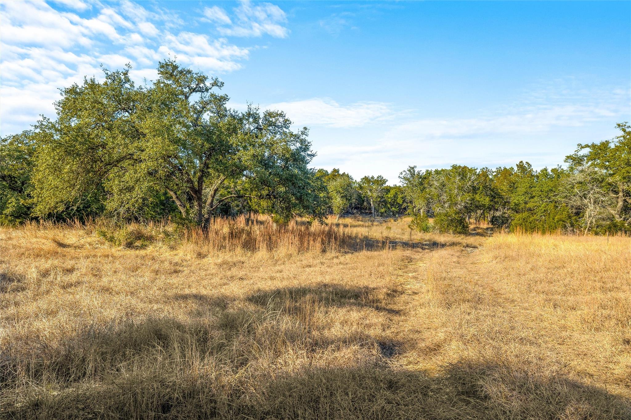 10107 Davy Crockett Dr, Dripping Springs, TX 78620