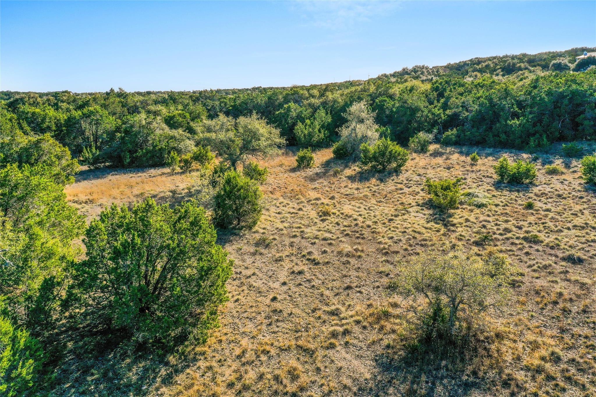 10107 Davy Crockett Dr, Dripping Springs, TX 78620