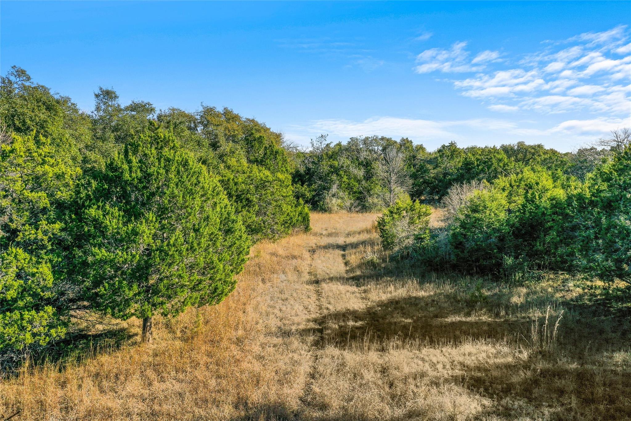 10107 Davy Crockett Dr, Dripping Springs, TX 78620