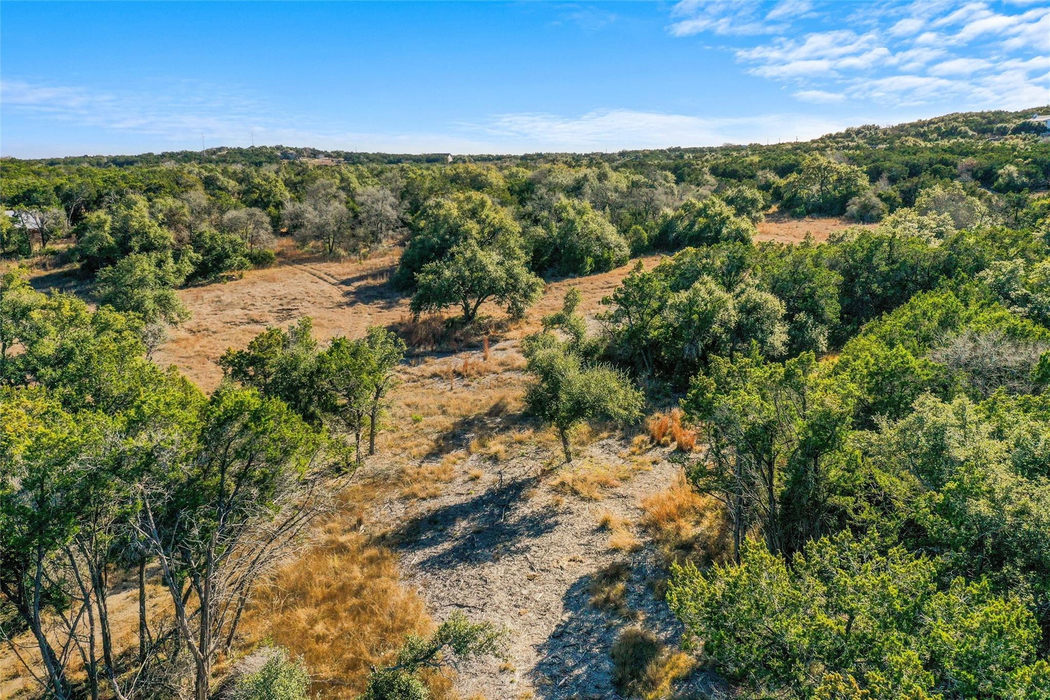 10107 Davy Crockett Dr, Dripping Springs, TX 78620