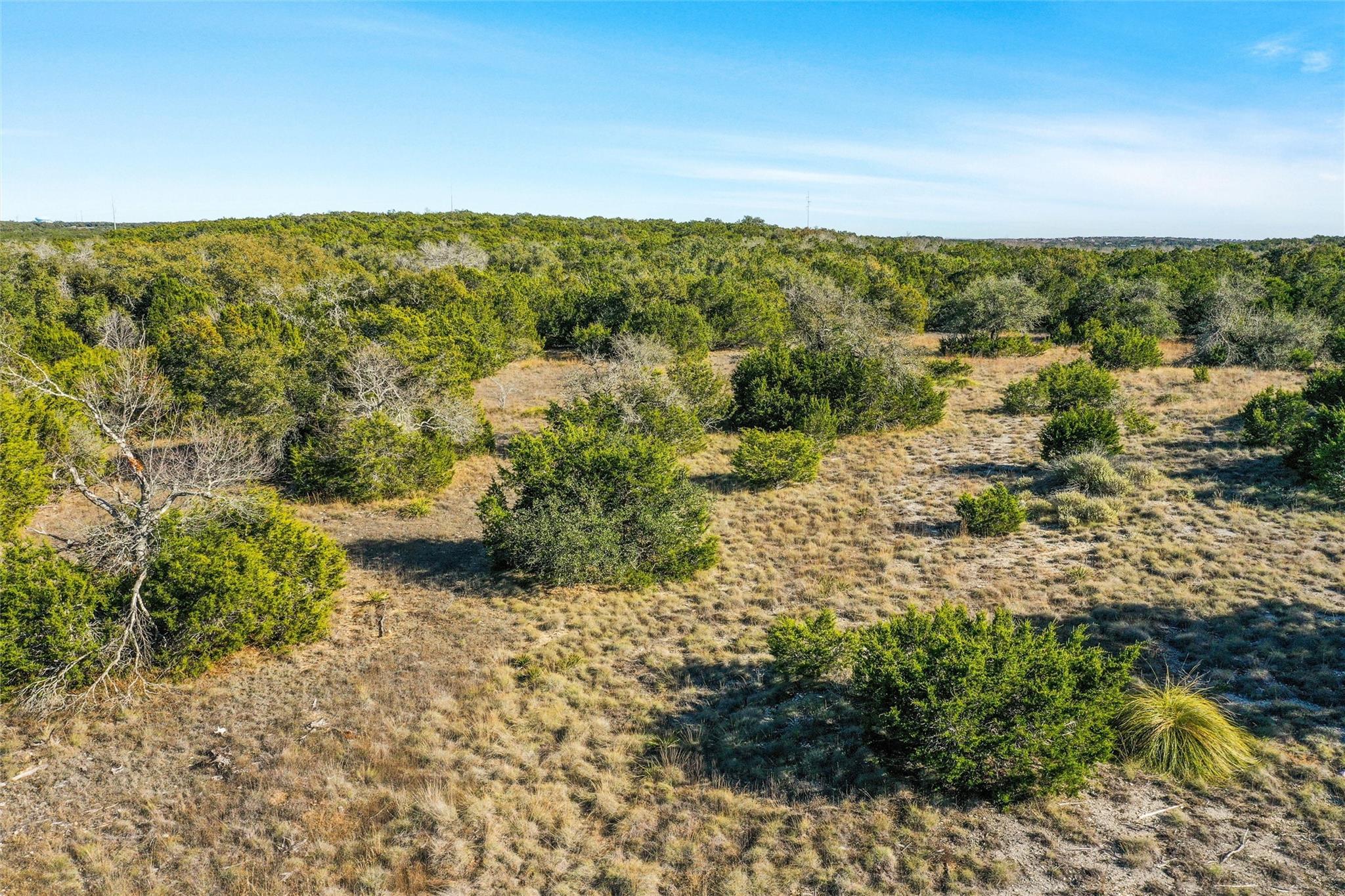 10107 Davy Crockett Dr, Dripping Springs, TX 78620
