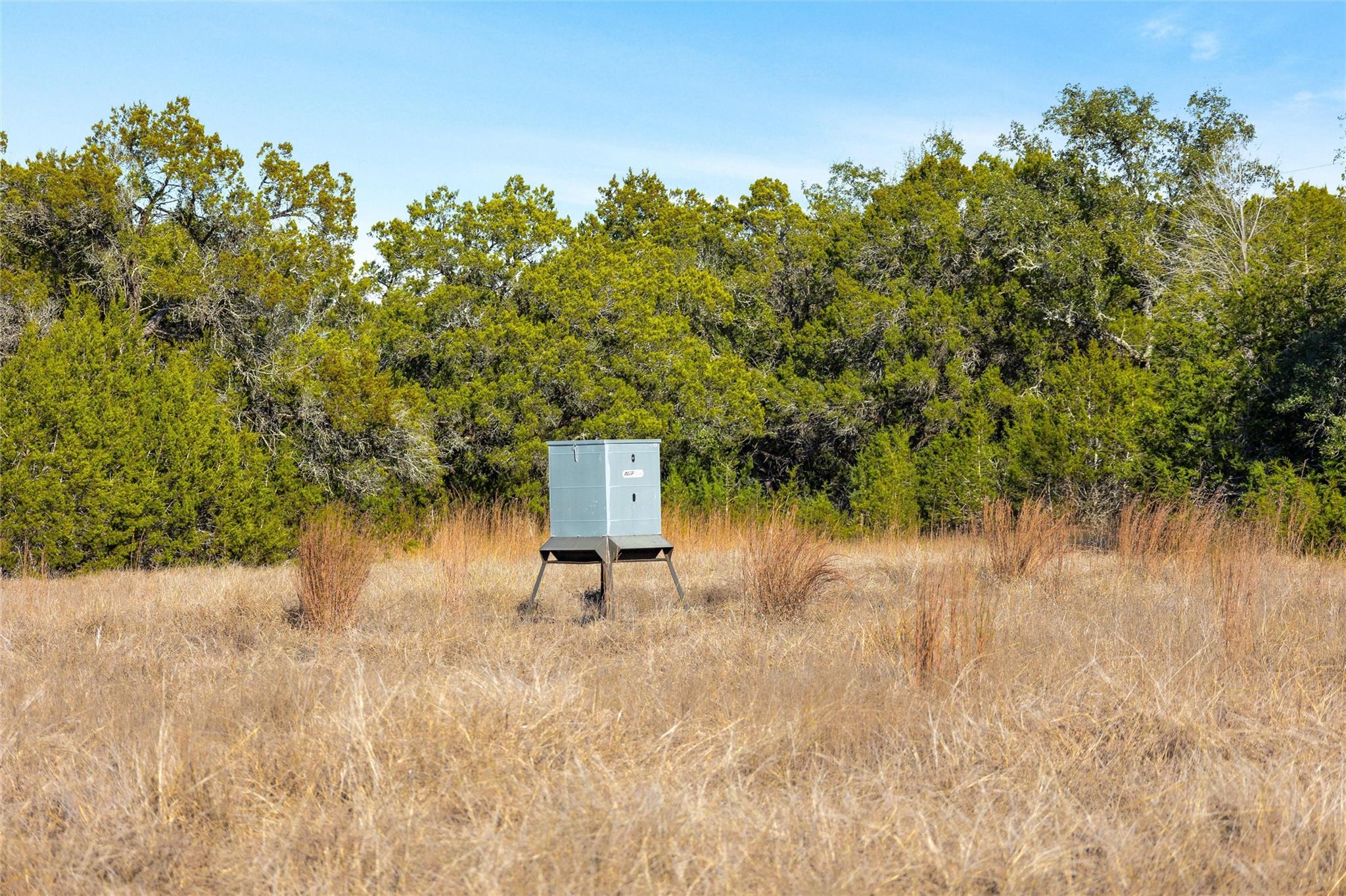 10107 Davy Crockett Dr, Dripping Springs, TX 78620