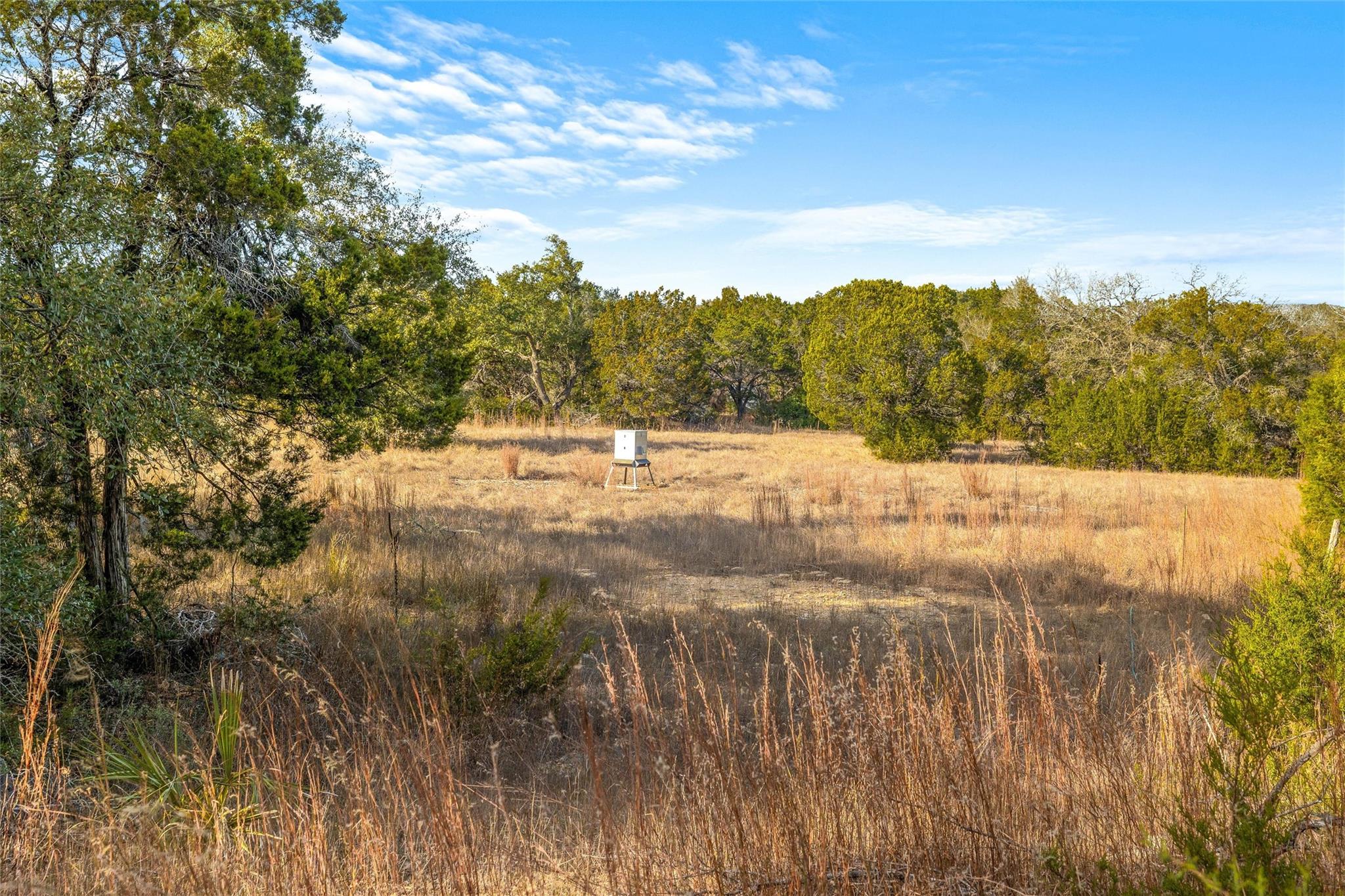 10107 Davy Crockett Dr, Dripping Springs, TX 78620
