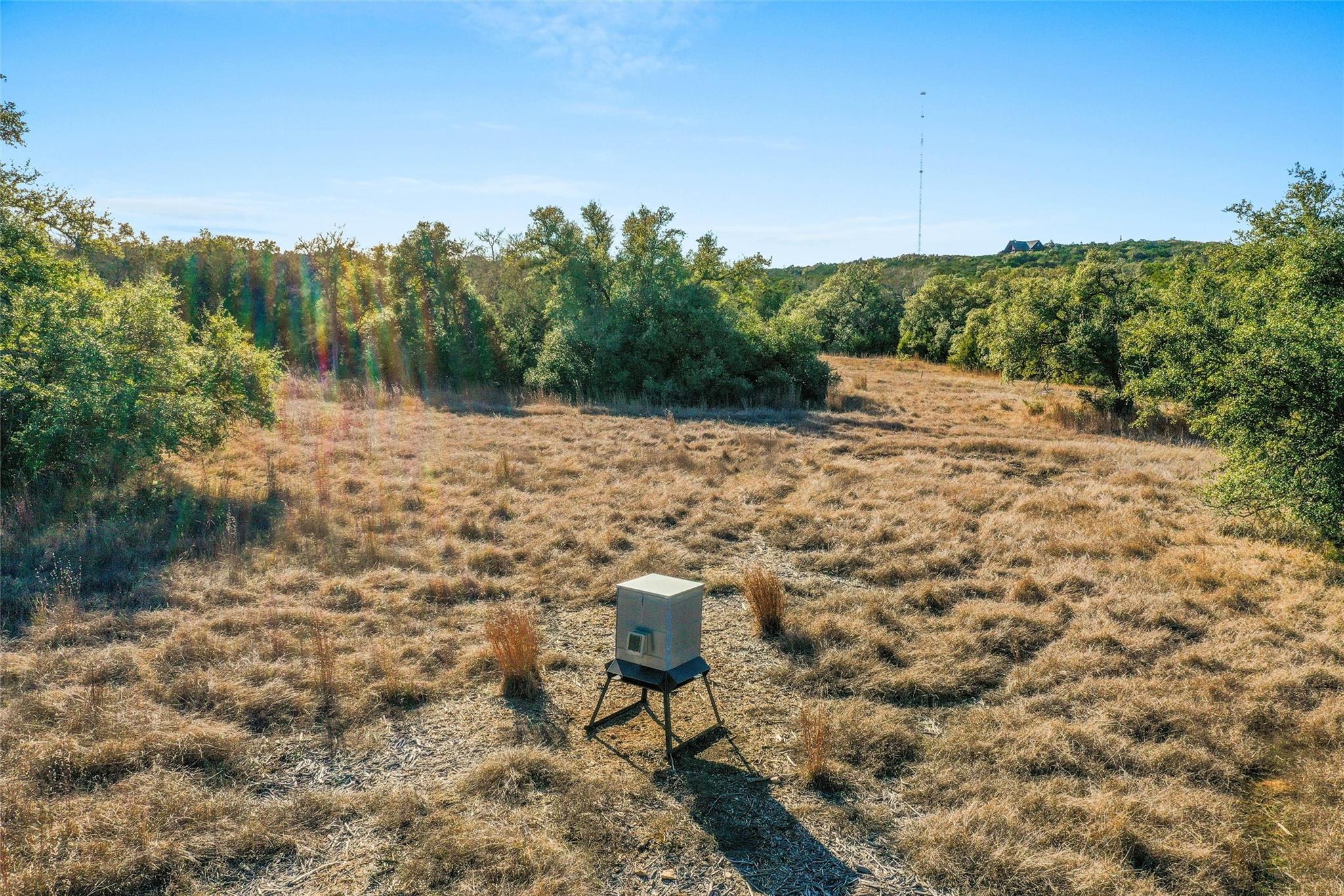 10107 Davy Crockett Dr, Dripping Springs, TX 78620