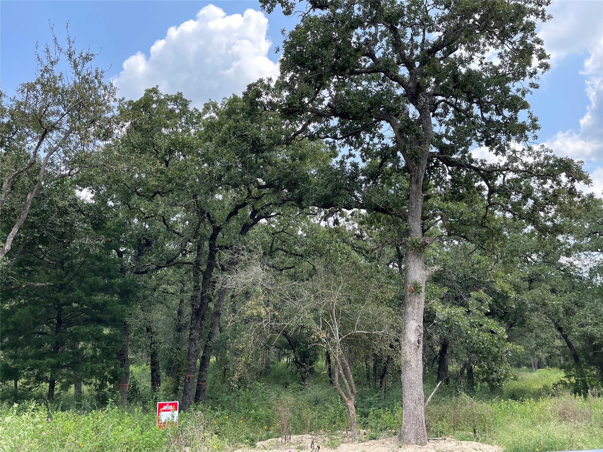 1300 Cypress Trail Loop, Rockdale, TX 76567
