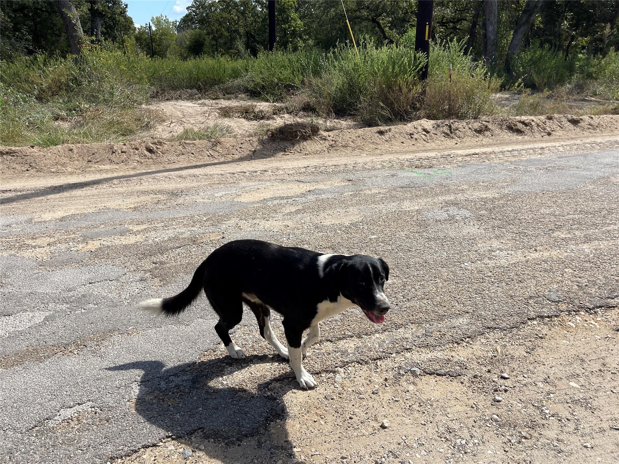 1260 Cypress Trail Loop, Rockdale, TX 76567