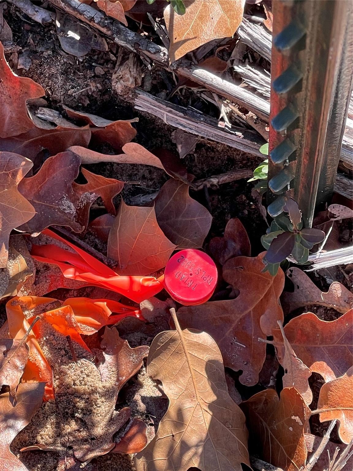 1260 Cypress Trail Loop, Rockdale, TX 76567