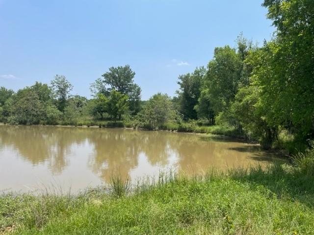 1010 County Road 490, Elgin, TX 78621