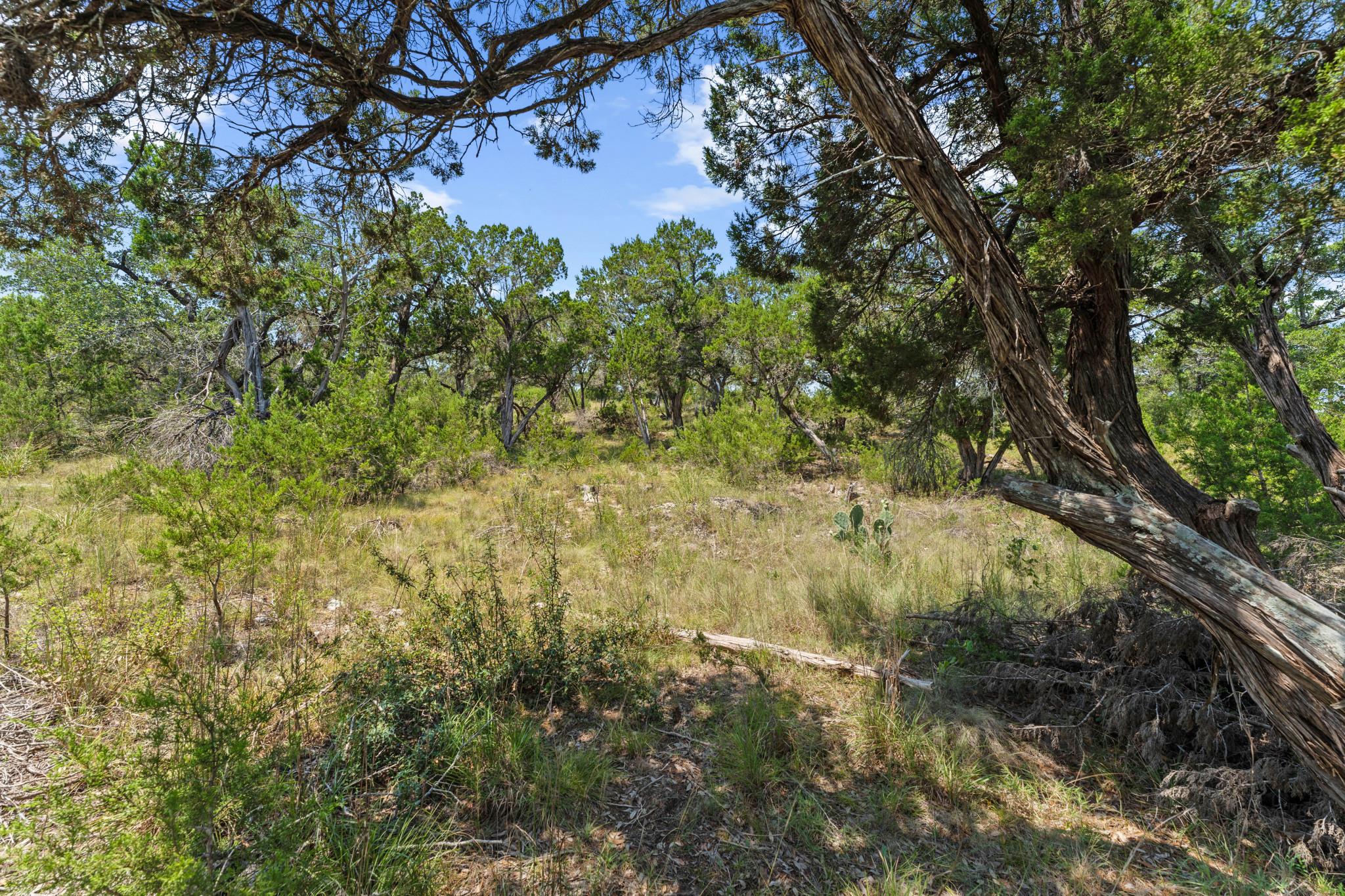 7B Broadwing Cv, Austin, TX 78737