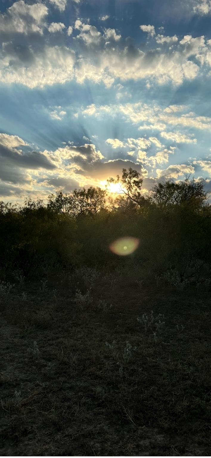 000 Carter Rd, Dale, TX 78616