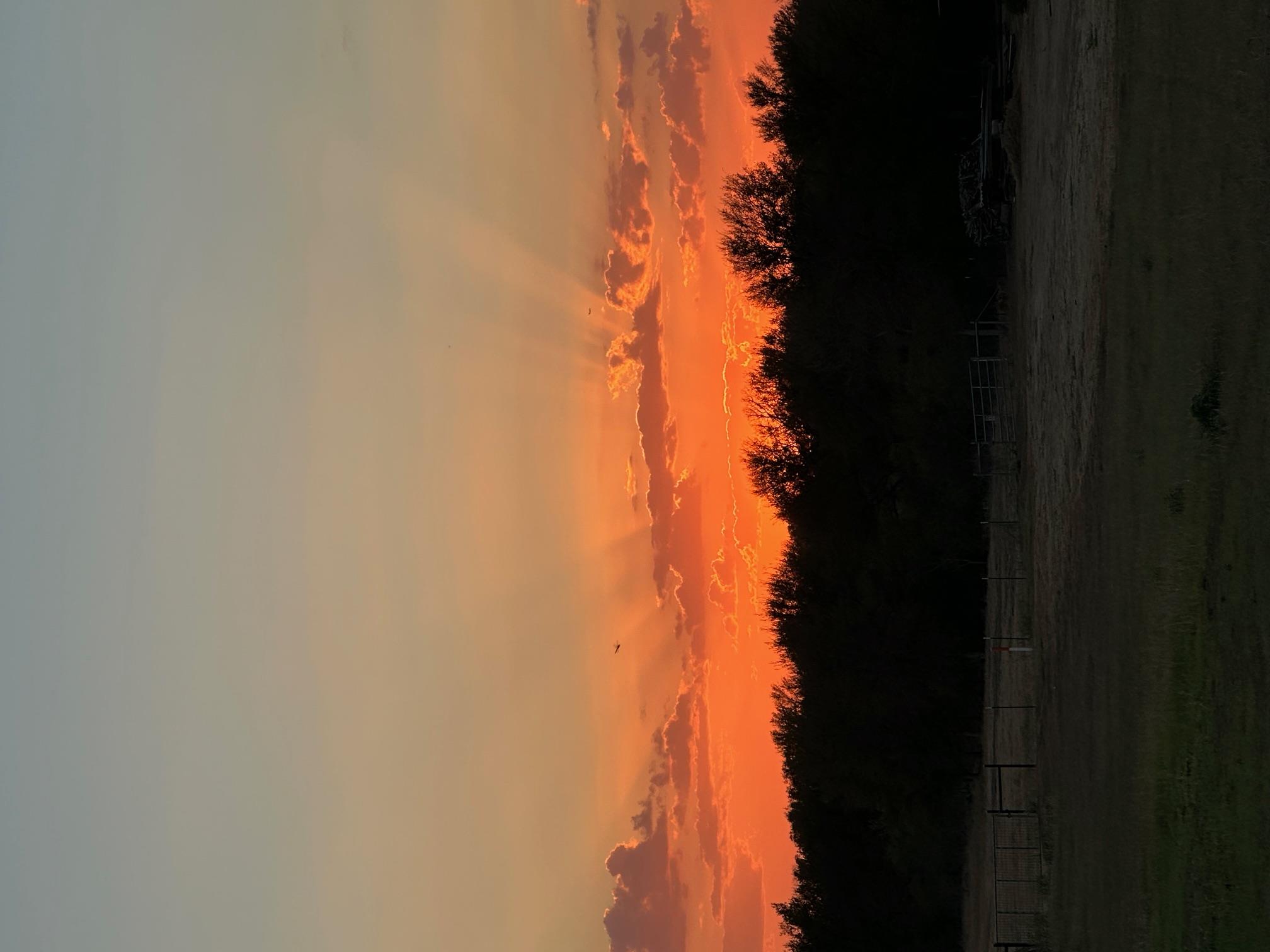 000 Carter Rd, Dale, TX 78616