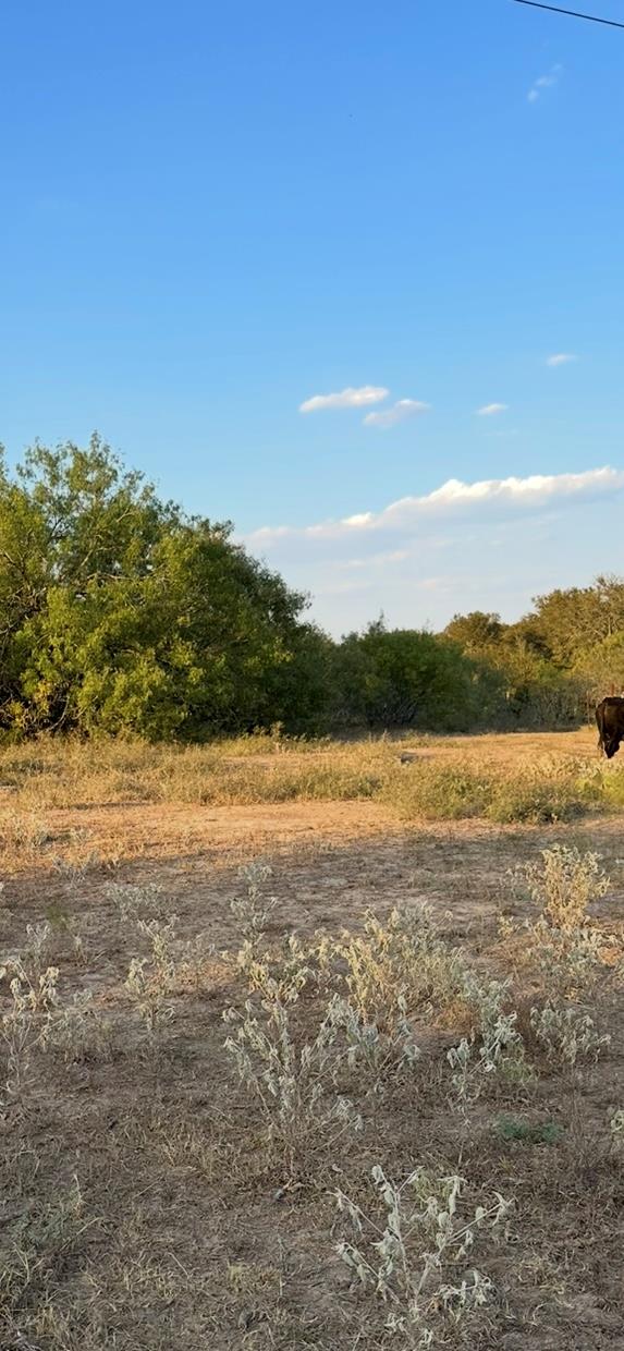 000 Carter Rd, Dale, TX 78616