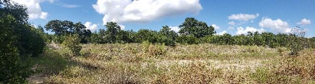 301 Rim Rock Ranch Rd, San Marcos, TX 78666