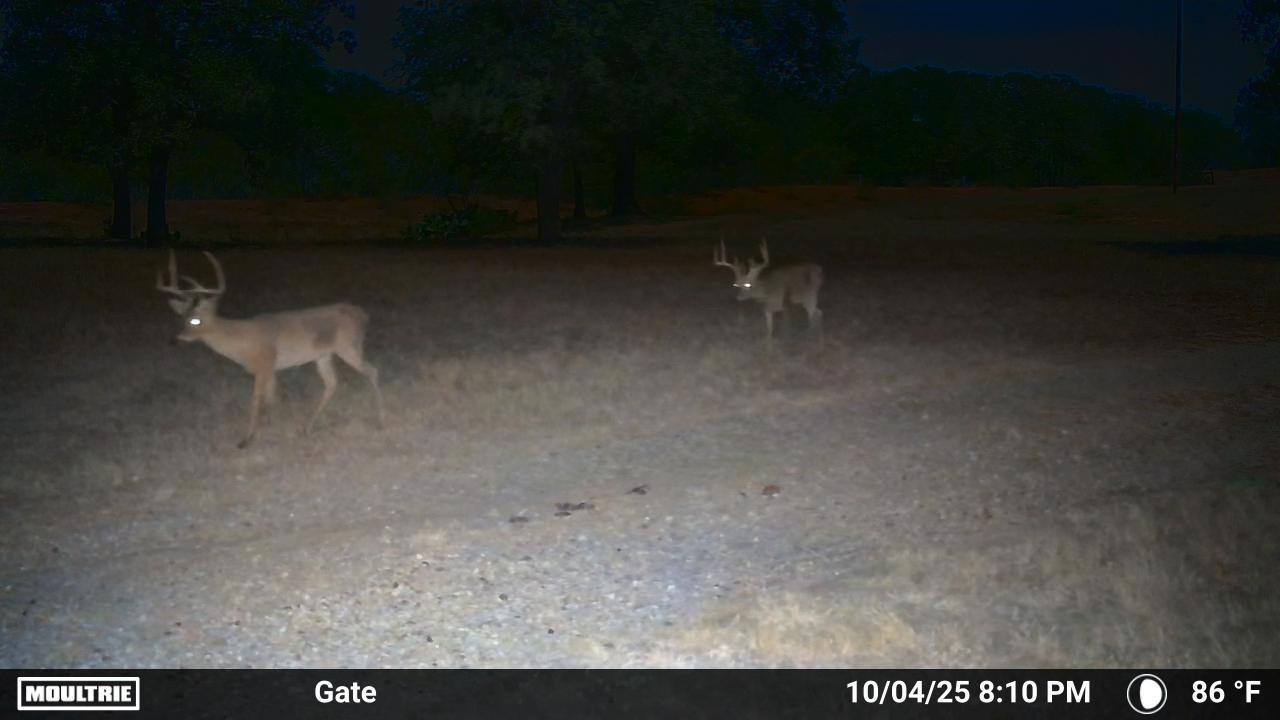 2464 County Road 249, Luling, TX 78648