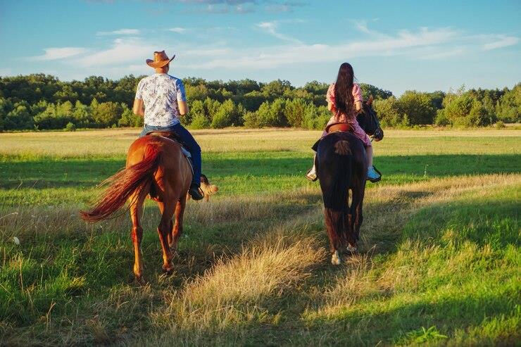 2464 County Road 249, Luling, TX 78648