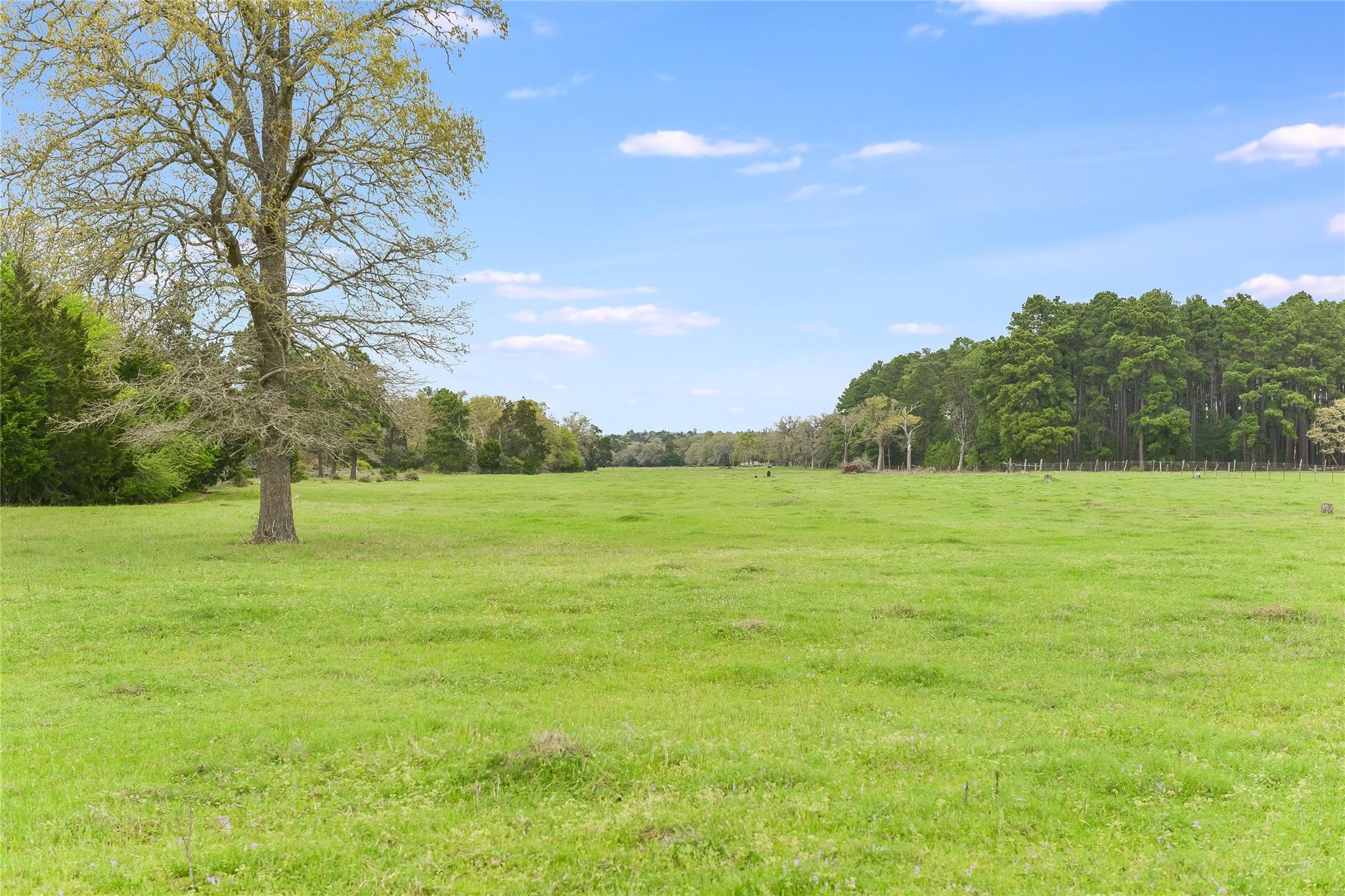 363 Paint Creek South Rd # A, Paige, TX 78659