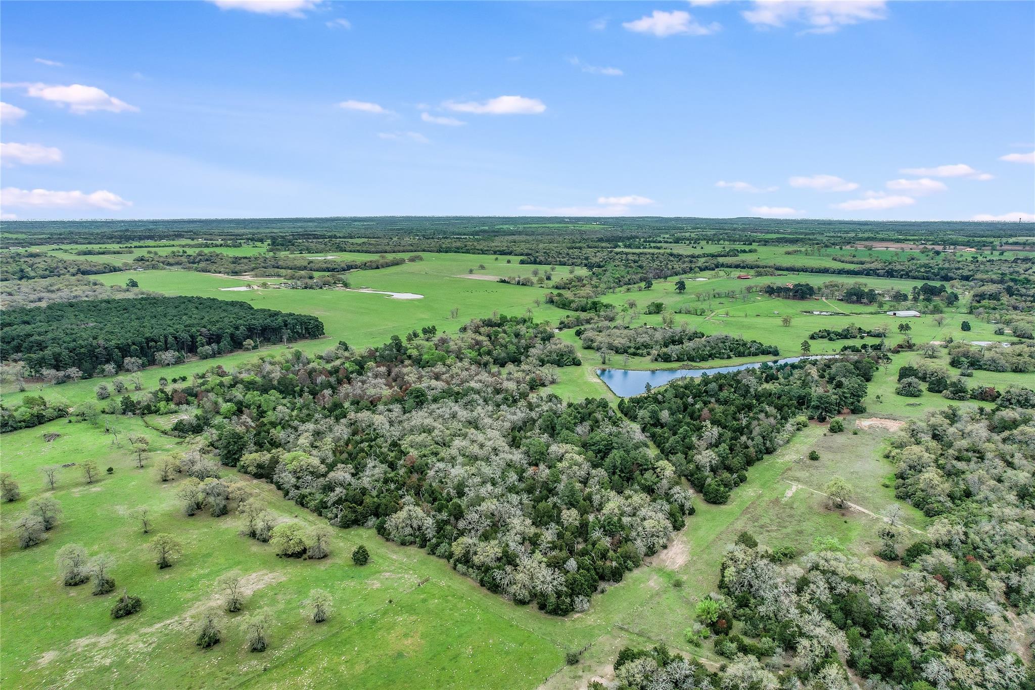 363 Paint Creek South Rd # A, Paige, TX 78659