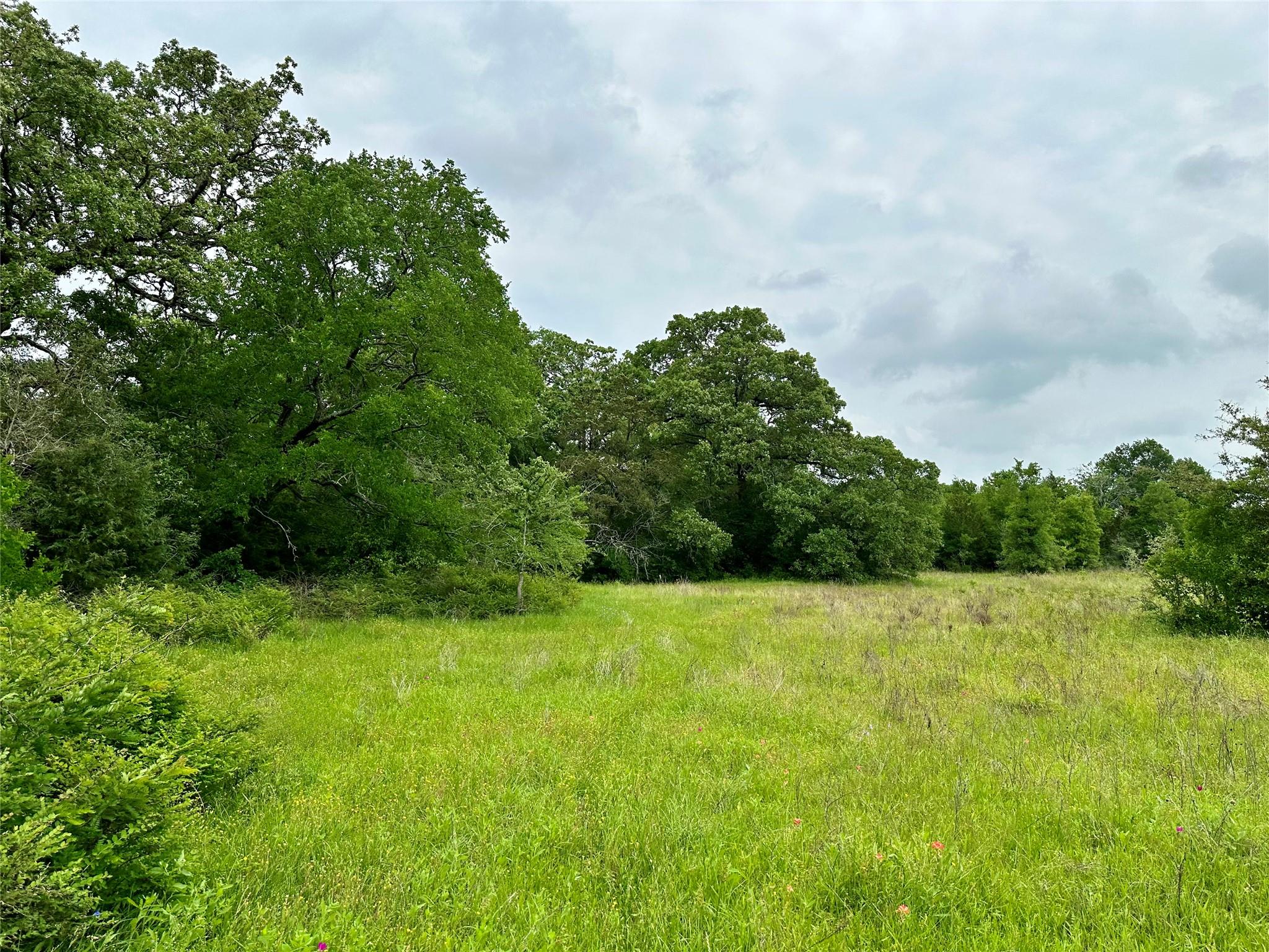 00 Quarry Rd, Brenham, TX 77833