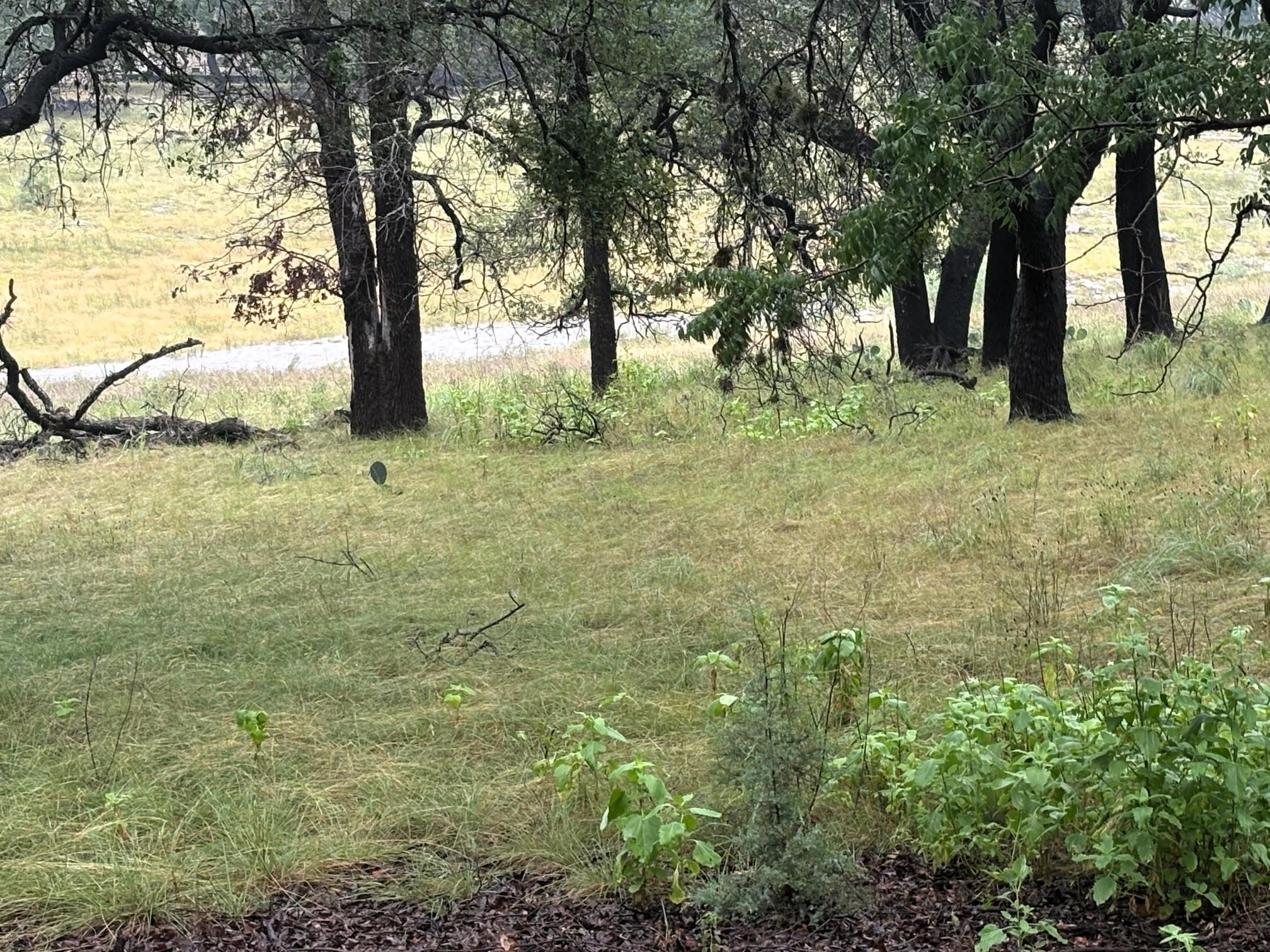 1307 Emerald Rd, Lago Vista, TX 78645