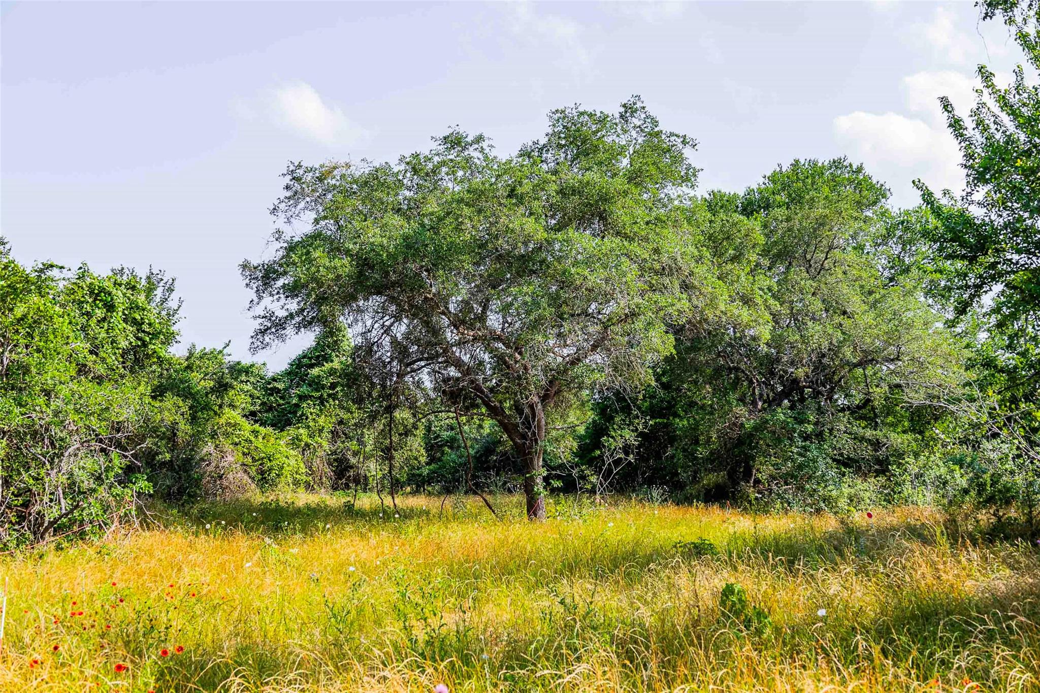 256 Greasy Bend Rd, Smithville, TX 78957