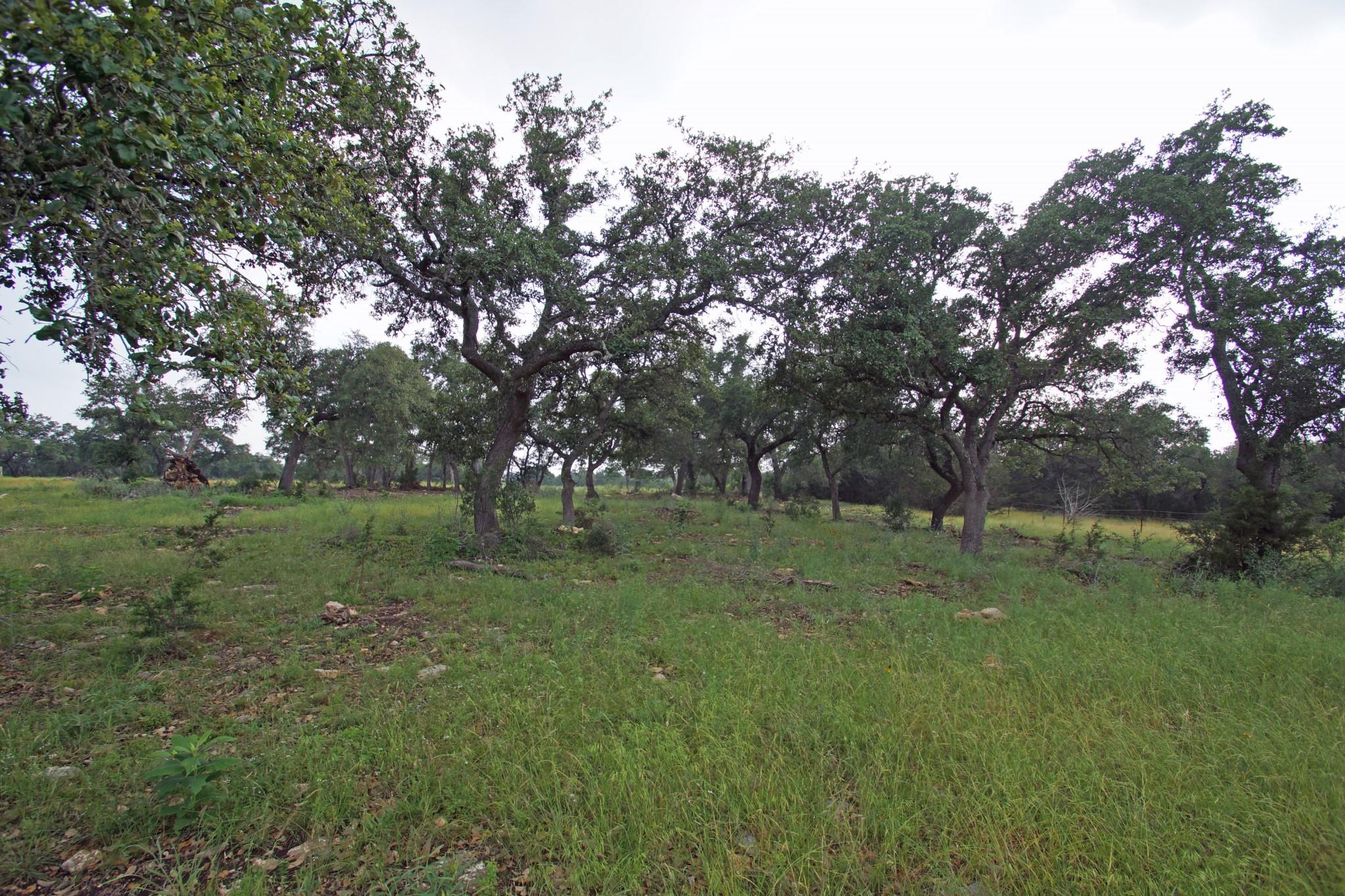 1056 Eagle Point Dr, Georgetown, TX 78628