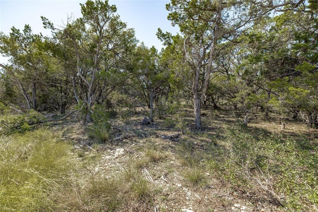 TBD County Road 281 Lot 4, Leander, TX 78641