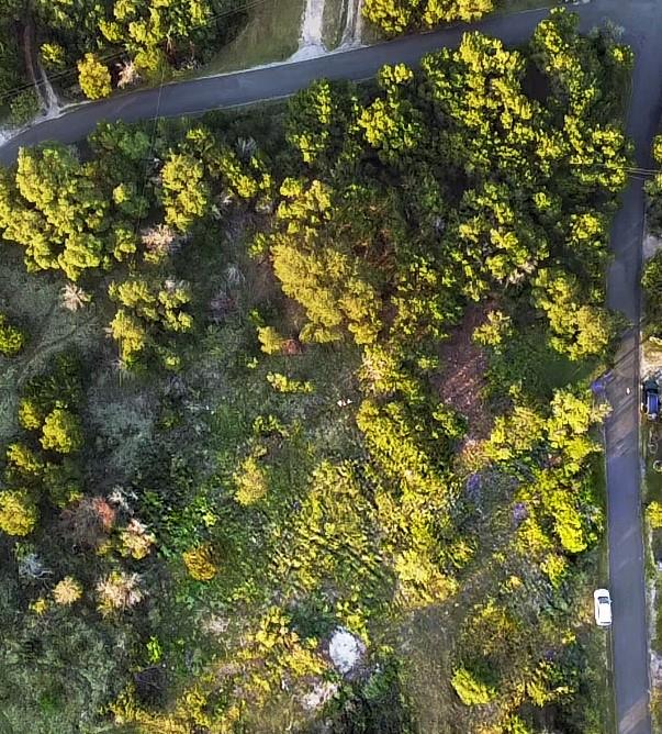 25406 Pedernales Point Dr, Spicewood, TX 78669