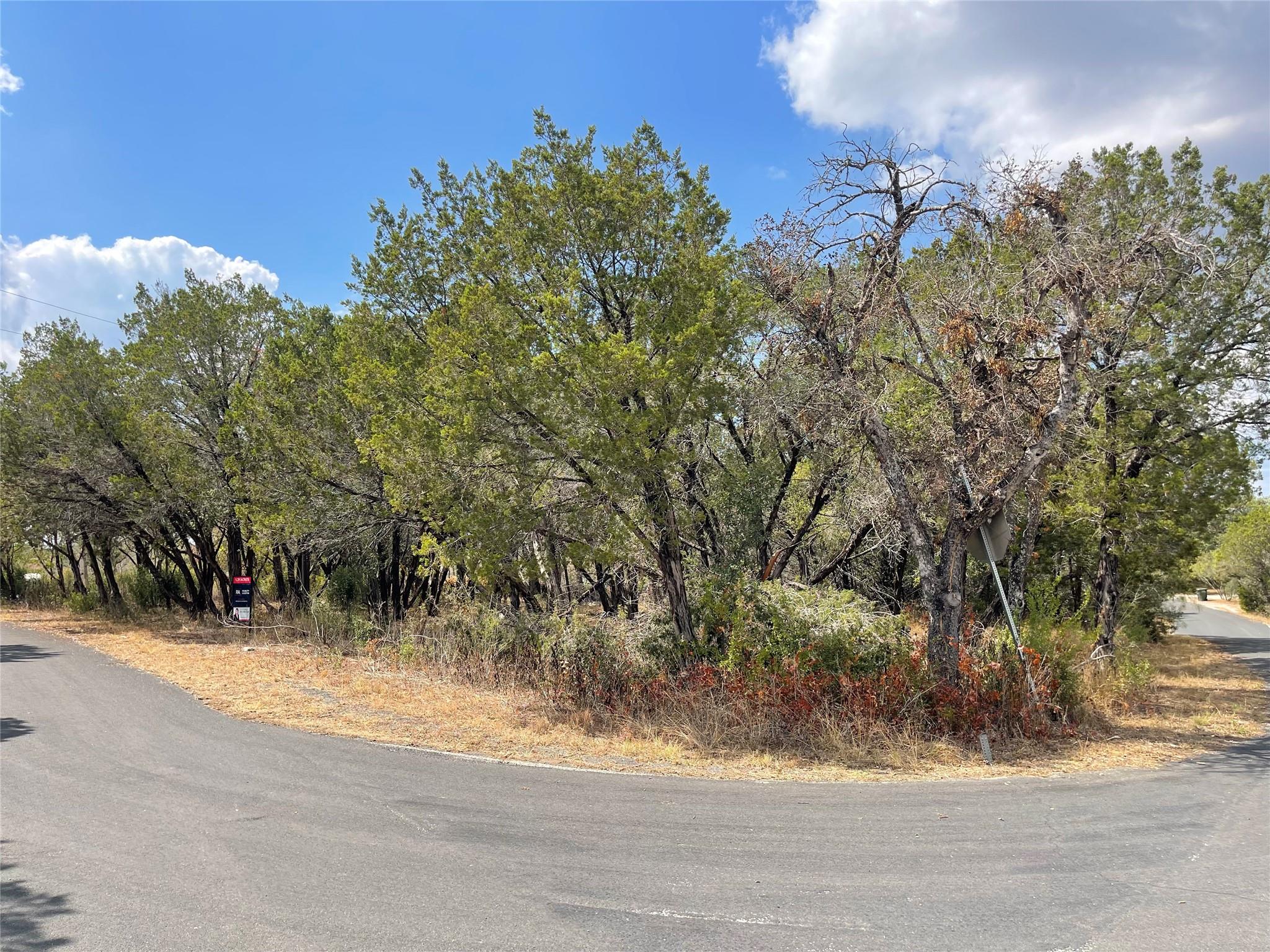 25406 Pedernales Point Dr, Spicewood, TX 78669