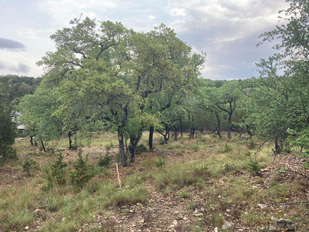 21501 Paine Ave, Lago Vista, TX 78645