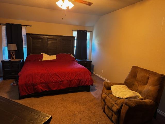 4100 Molly Dyer, Killeen, TX 76549