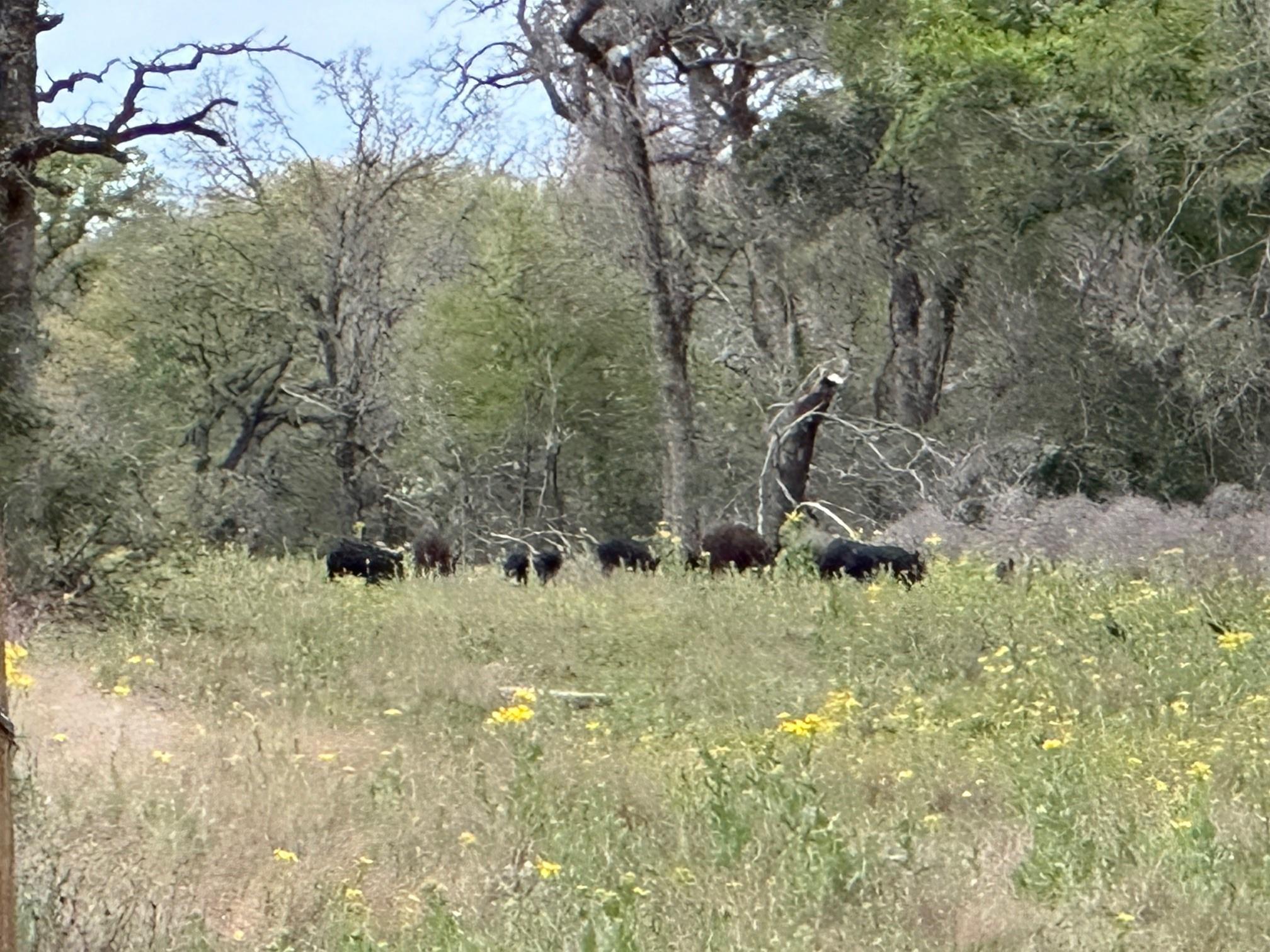 848 County Road 359, Gause, TX 77857
