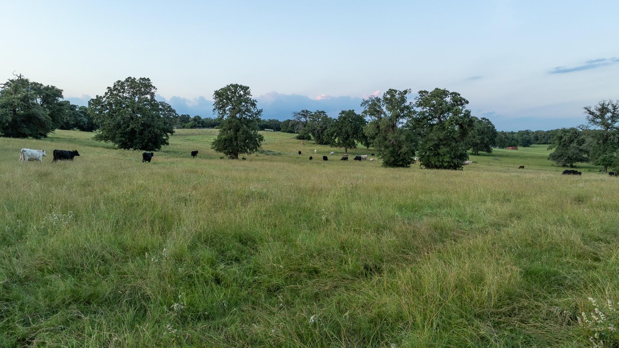 848 County Road 359, Gause, TX 77857