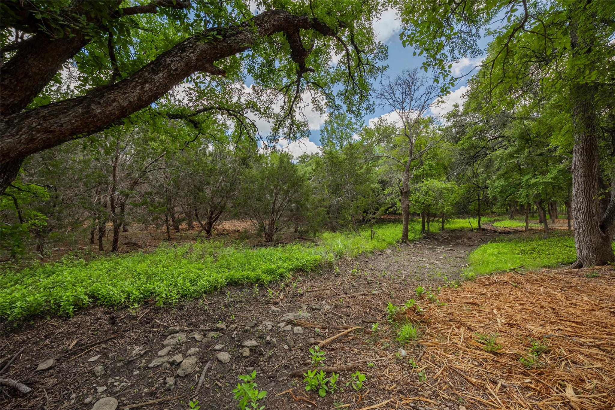 250 E Ridgewood Rd, Georgetown, TX 78633