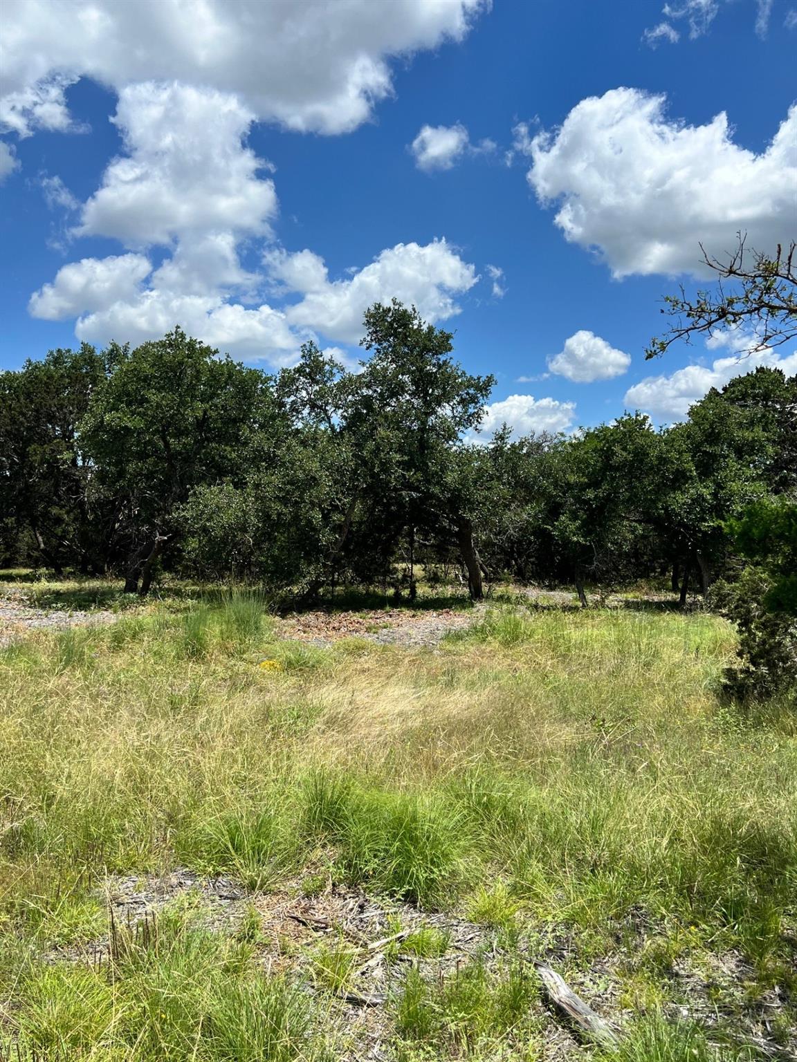 Lot 1 Riparian Elm Rd, Bertram, TX 78605