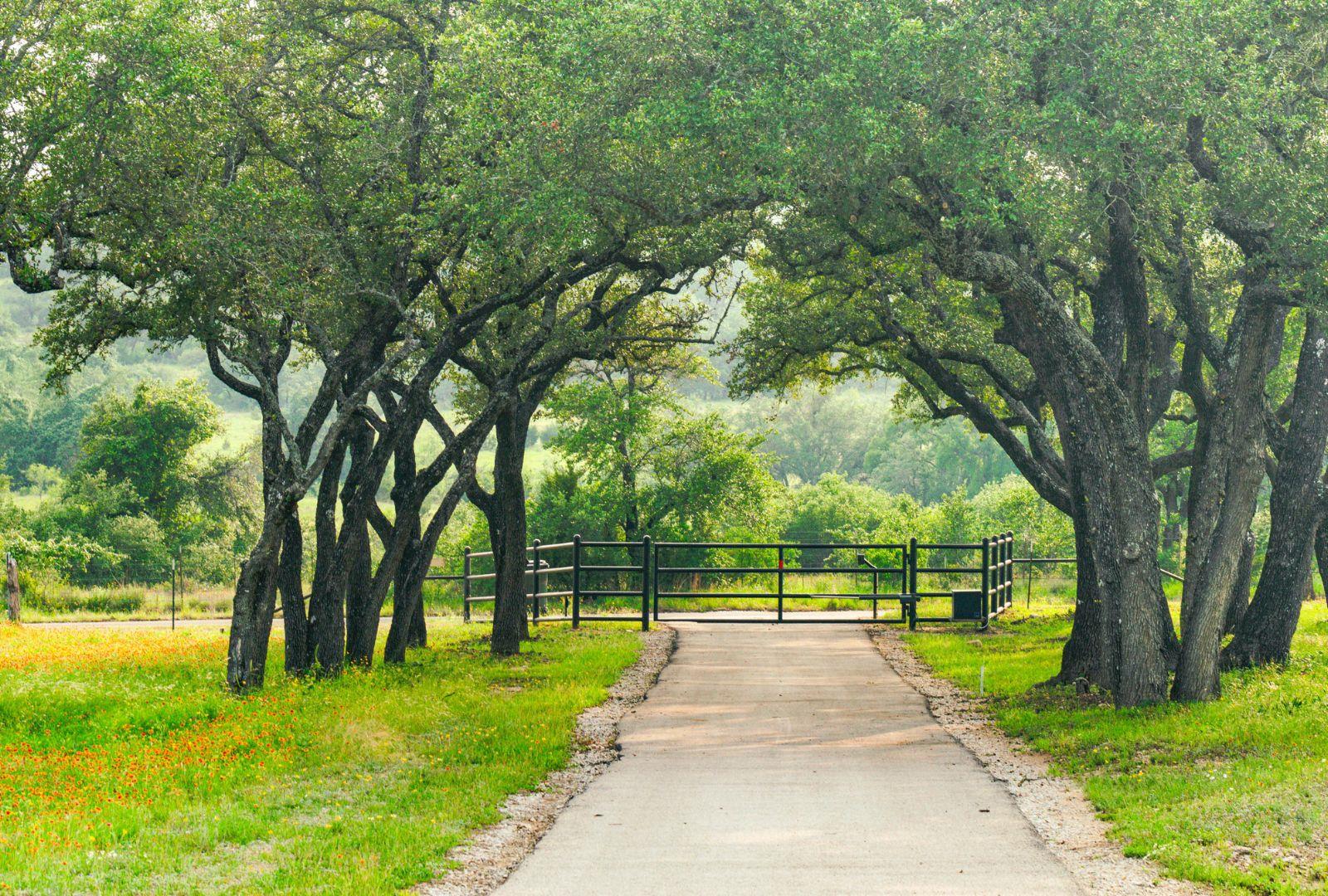 1878 Shovel Mountain Rd, Round Mountain, TX 78663