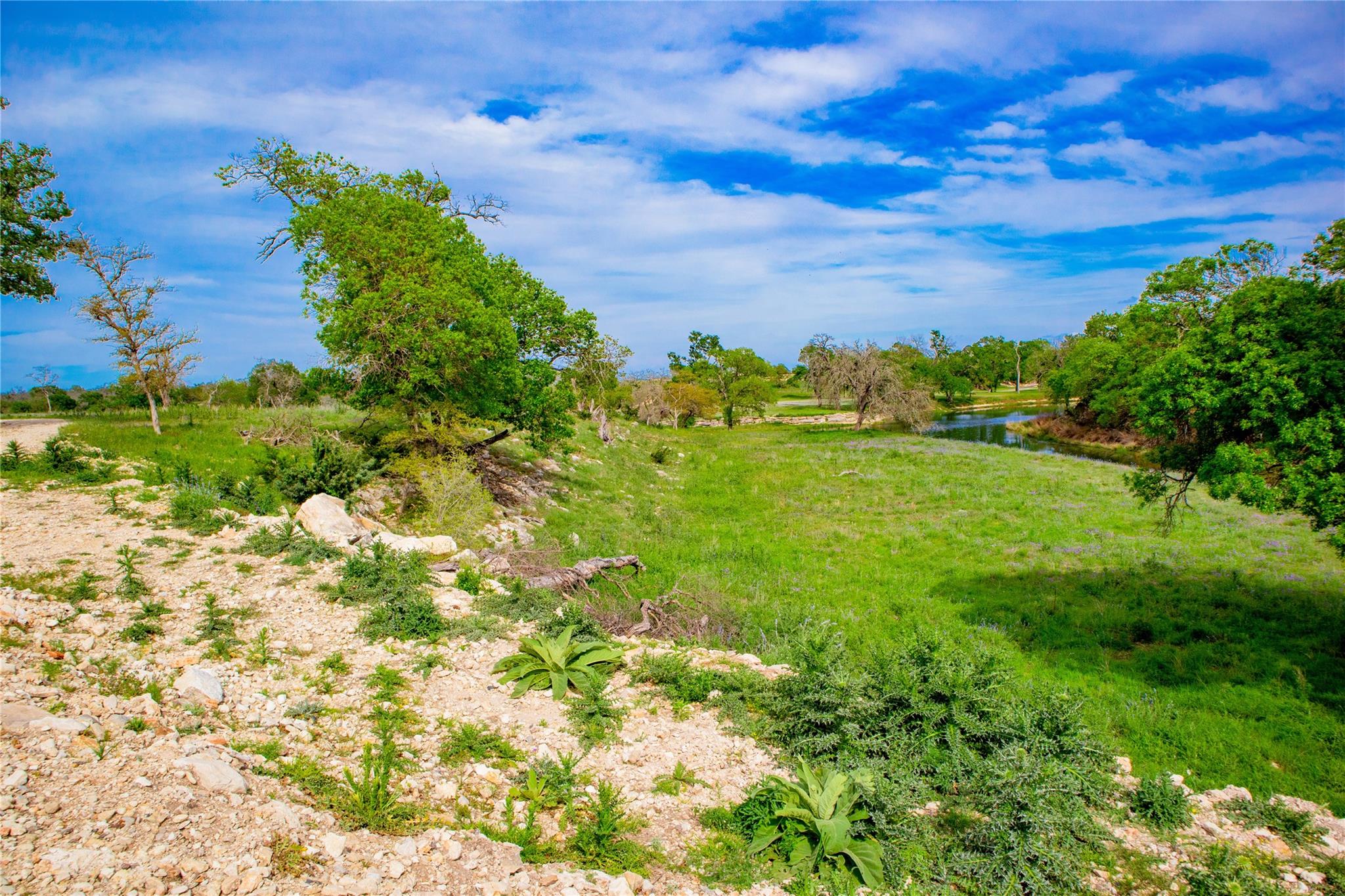 Lot 55 Pack Saddle Dr Dr, Harper, TX 78631