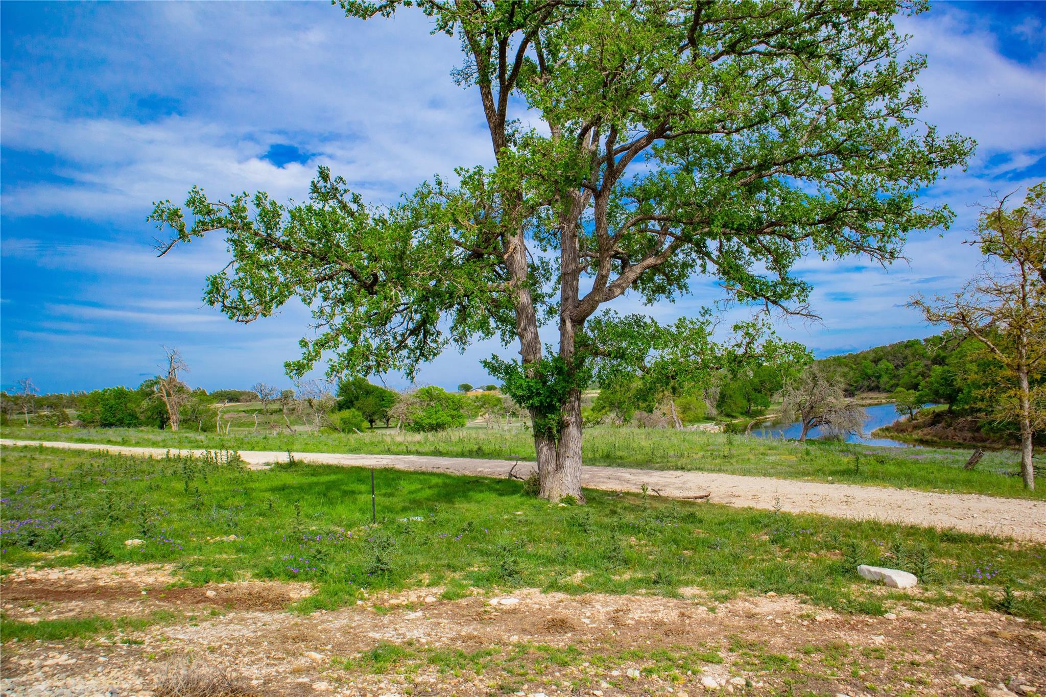 Lot 55 Pack Saddle Dr Dr, Harper, TX 78631