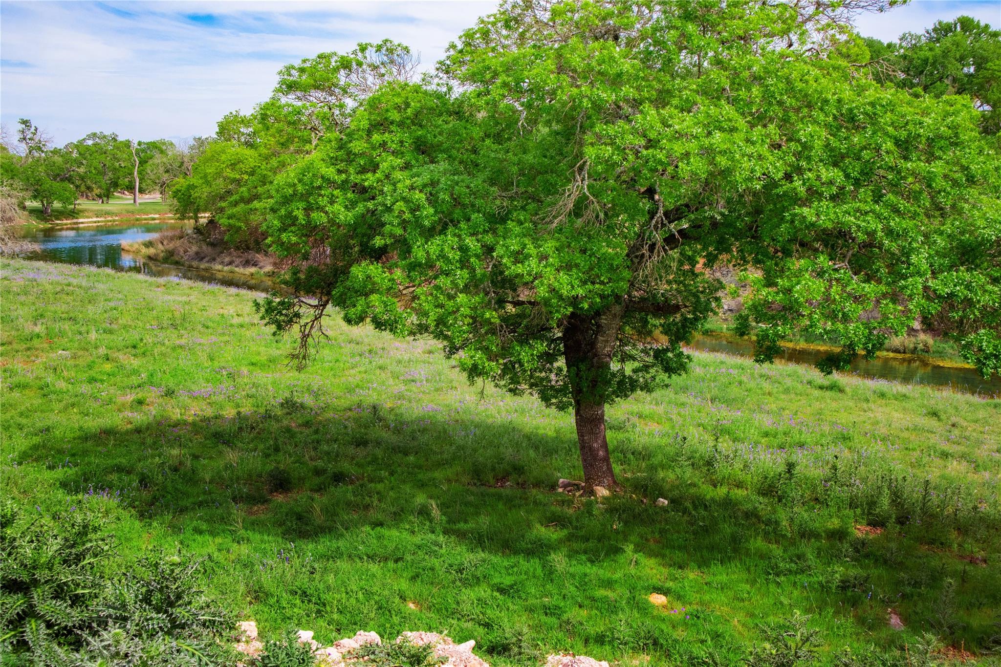 Lot 55 Pack Saddle Dr Dr, Harper, TX 78631