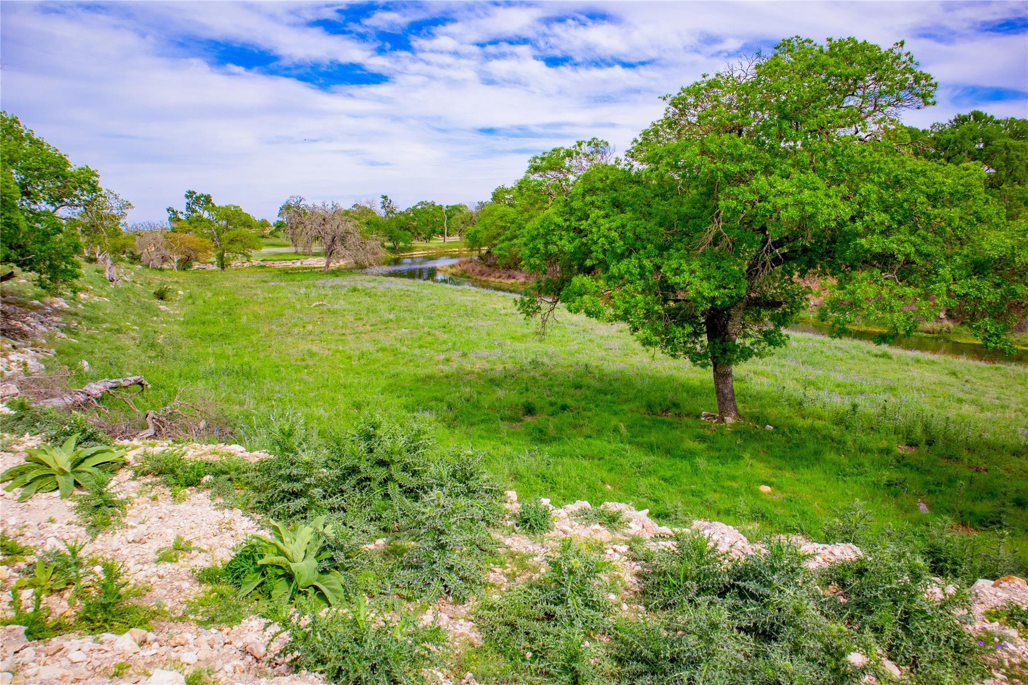 Lot 55 Pack Saddle Dr Dr, Harper, TX 78631
