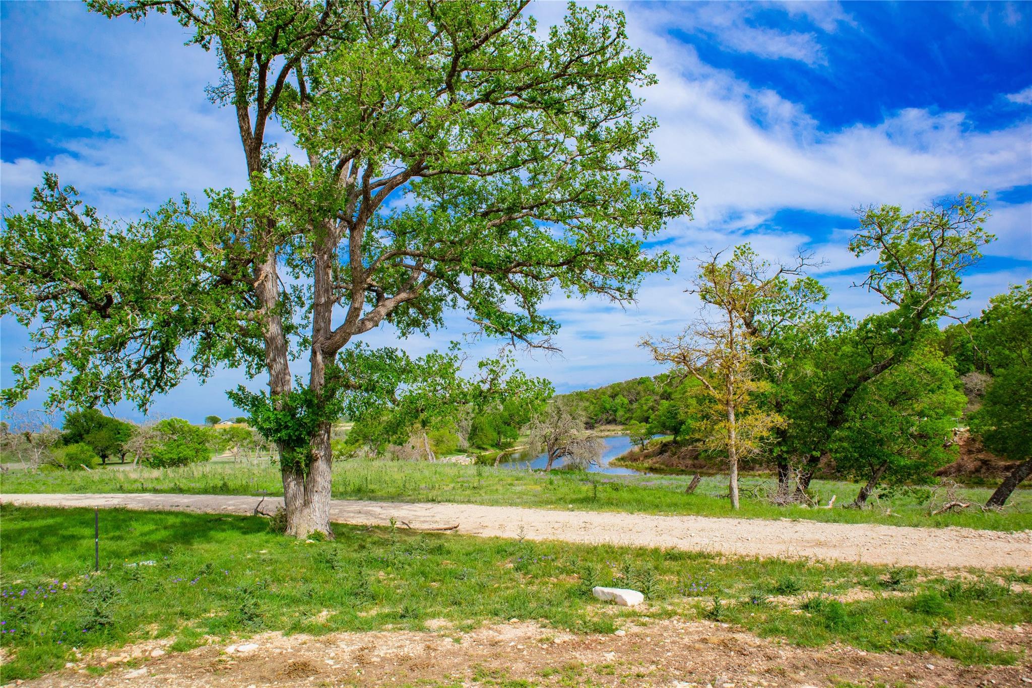 Lot 55 Pack Saddle Dr Dr, Harper, TX 78631