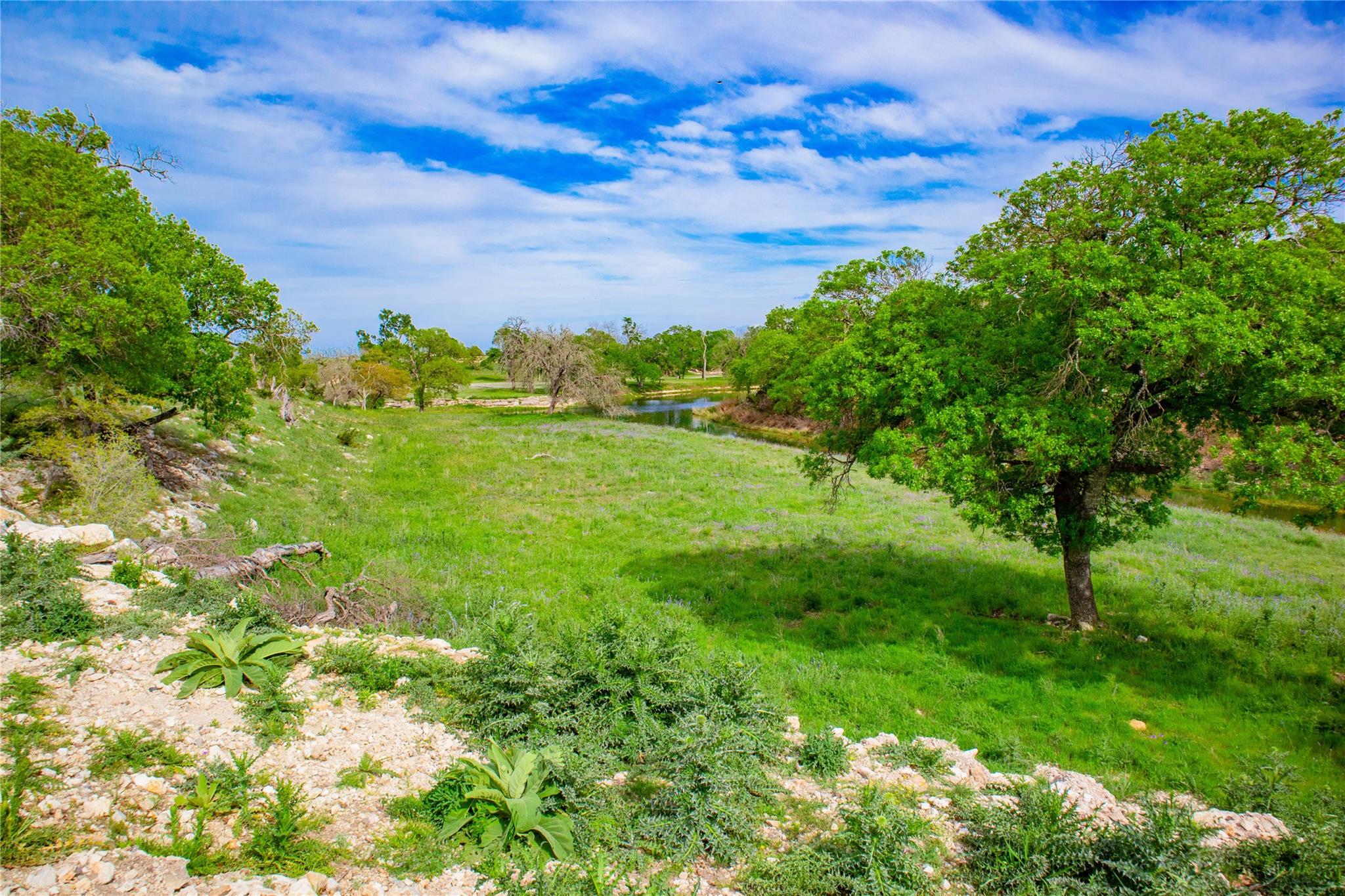 Lot 55 Pack Saddle Dr Dr, Harper, TX 78631