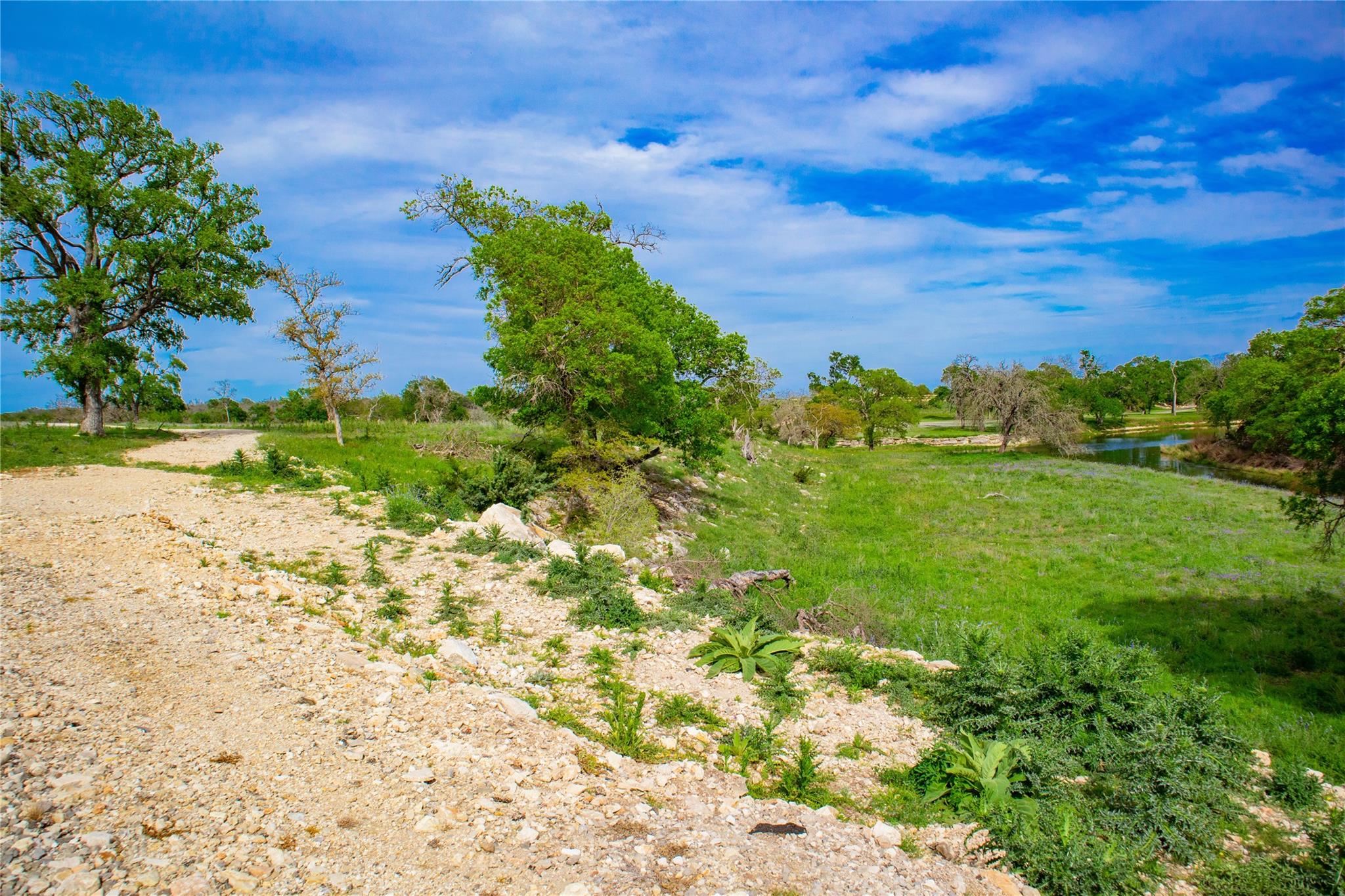 Lot 55 Pack Saddle Dr Dr, Harper, TX 78631
