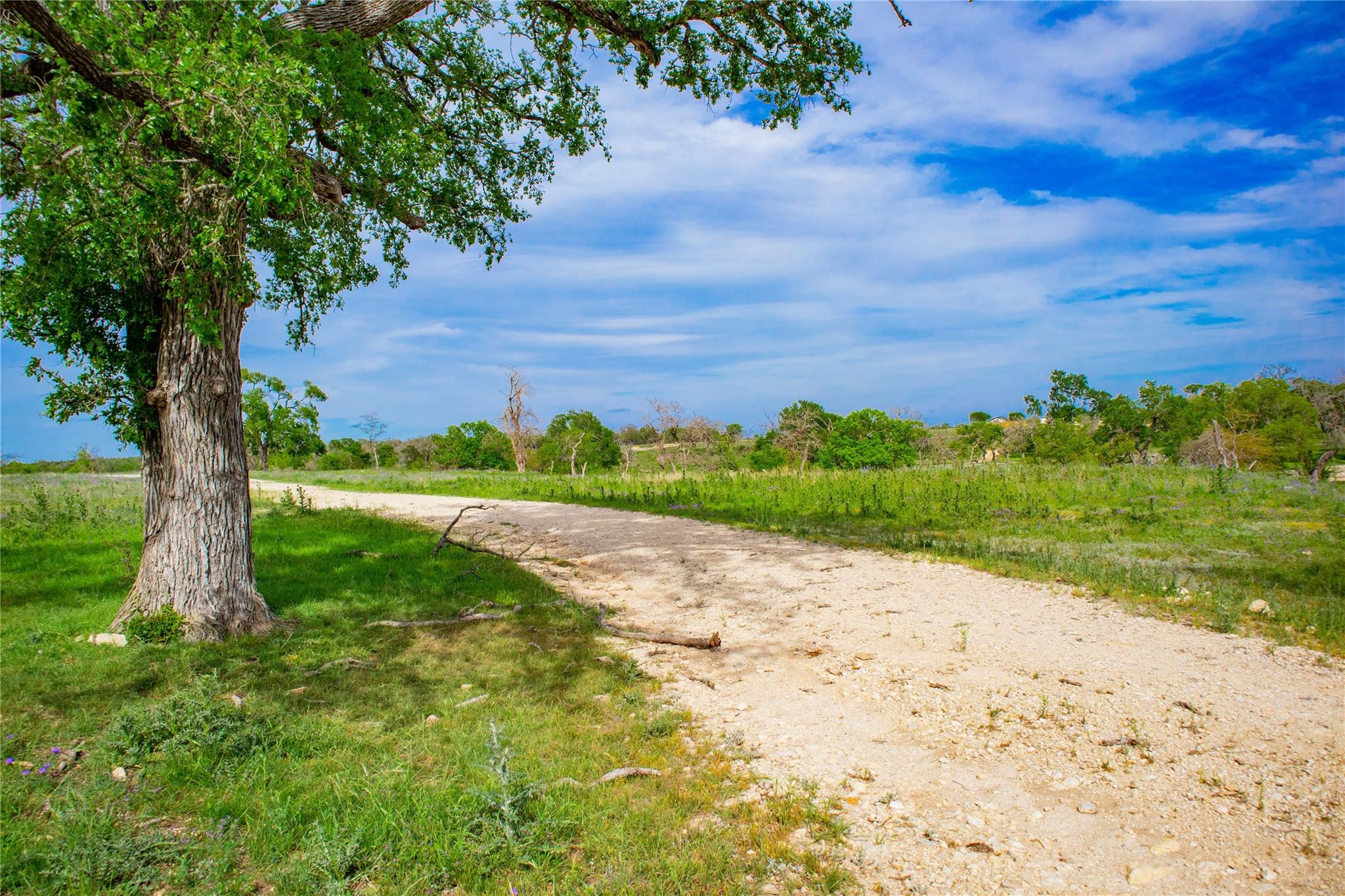 Lot 55 Pack Saddle Dr Dr, Harper, TX 78631