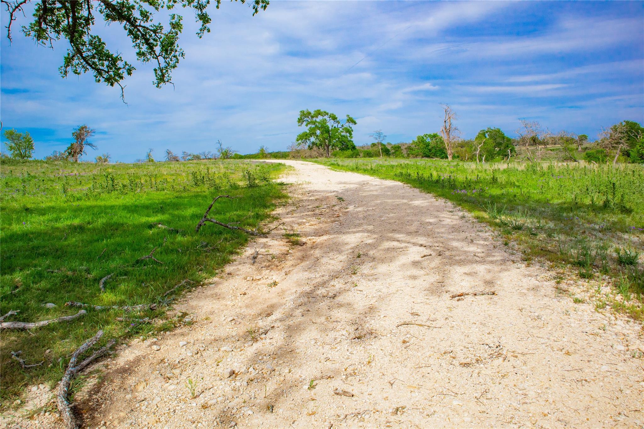 Lot 55 Pack Saddle Dr Dr, Harper, TX 78631