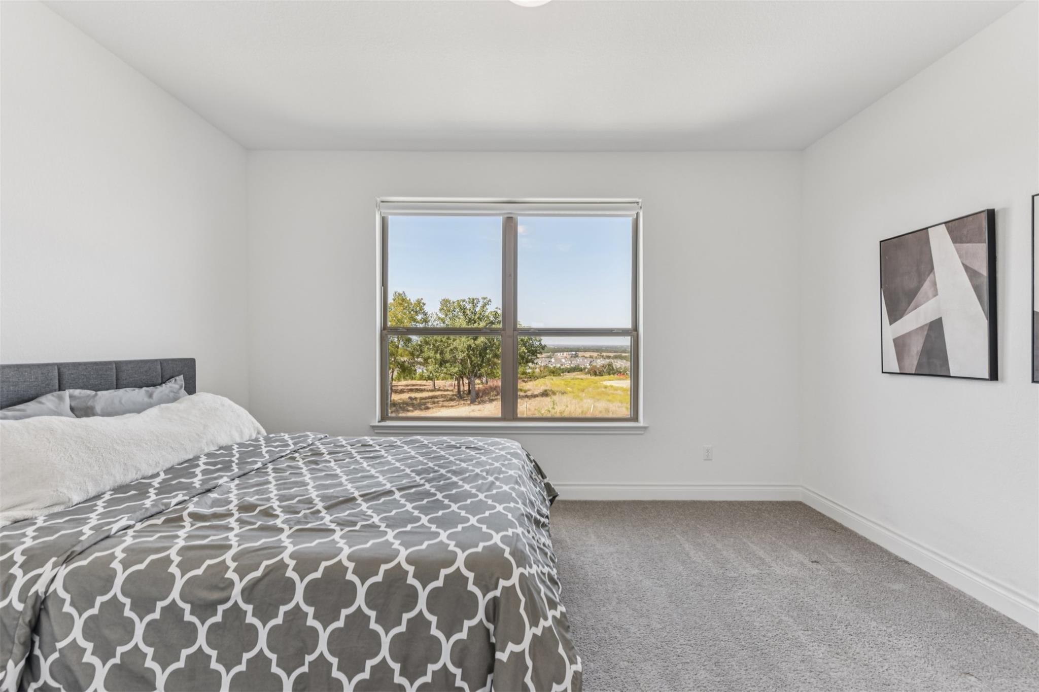 253 Rosetta Loop, Liberty Hill, TX 78642